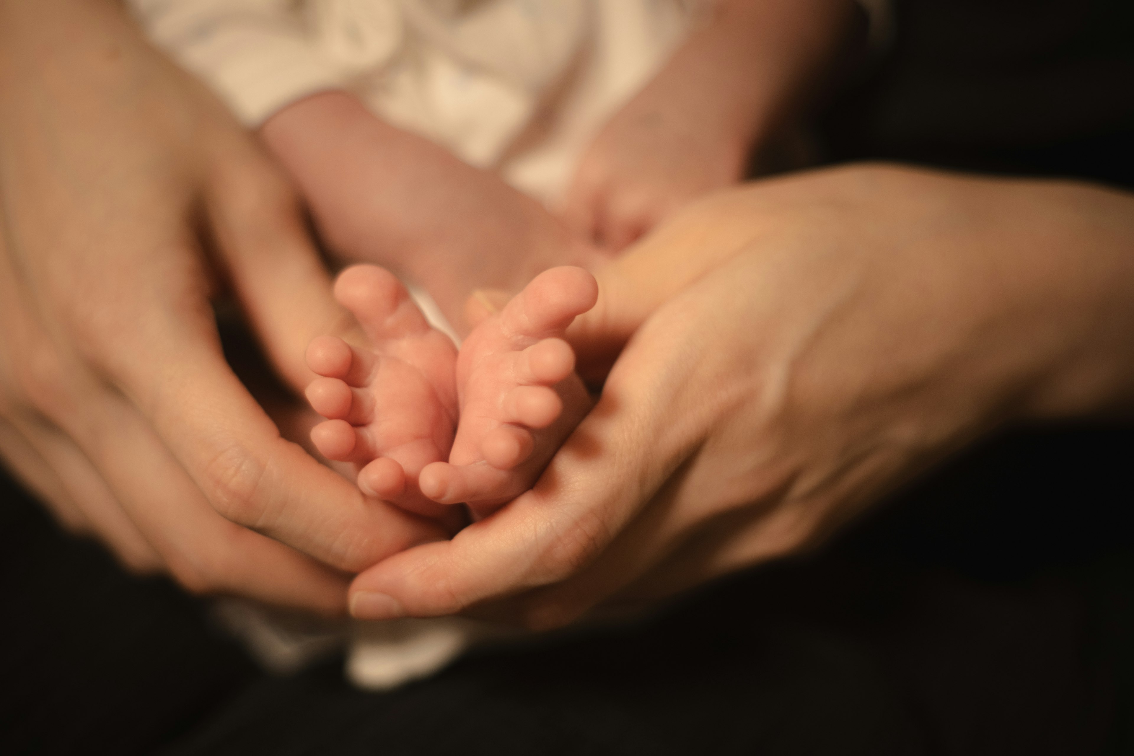 Des pieds de bébé délicatement soutenus par des mains d'adulte