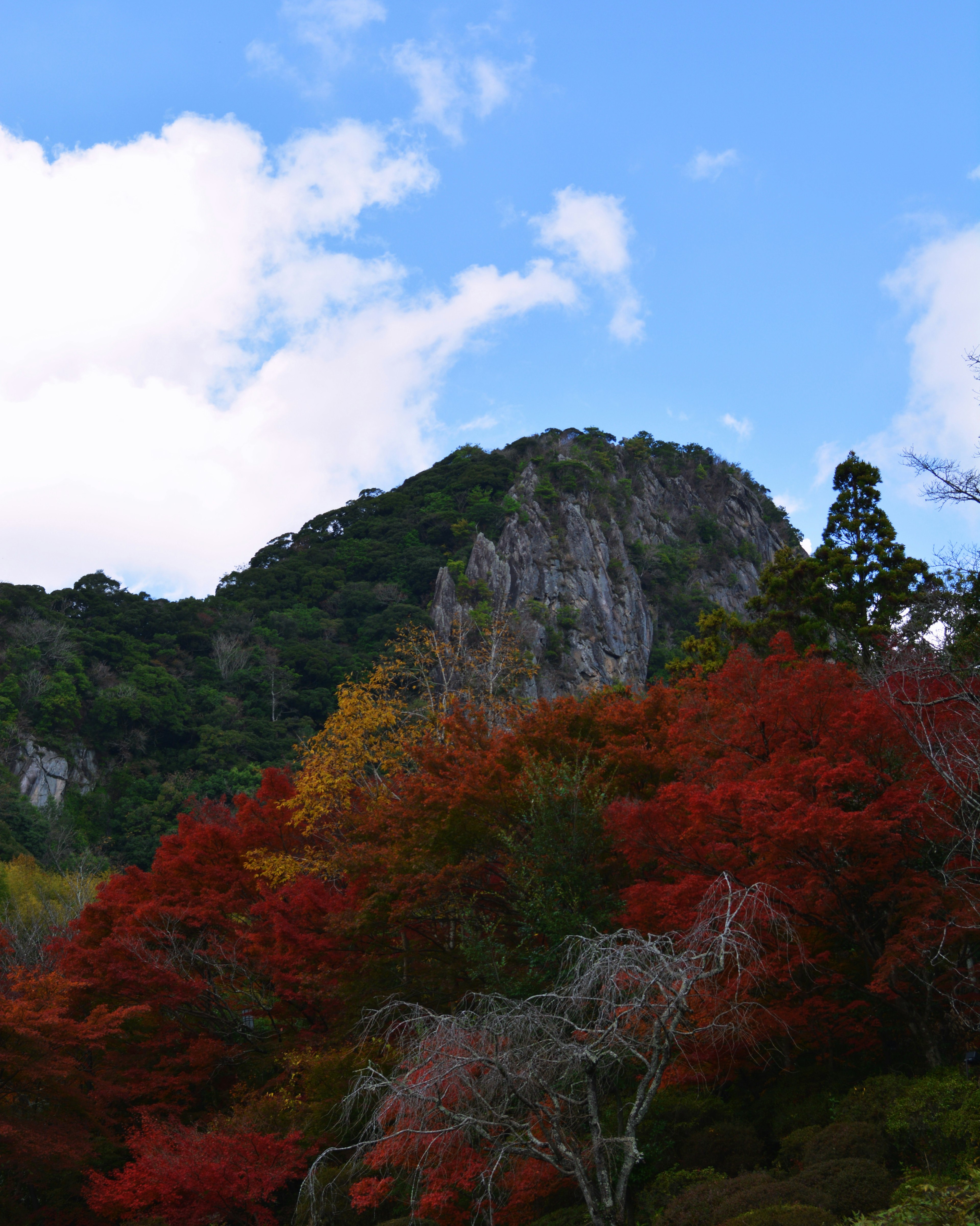 Vista escénica de hojas de otoño rojas vibrantes contra montañas verdes bajo un cielo azul