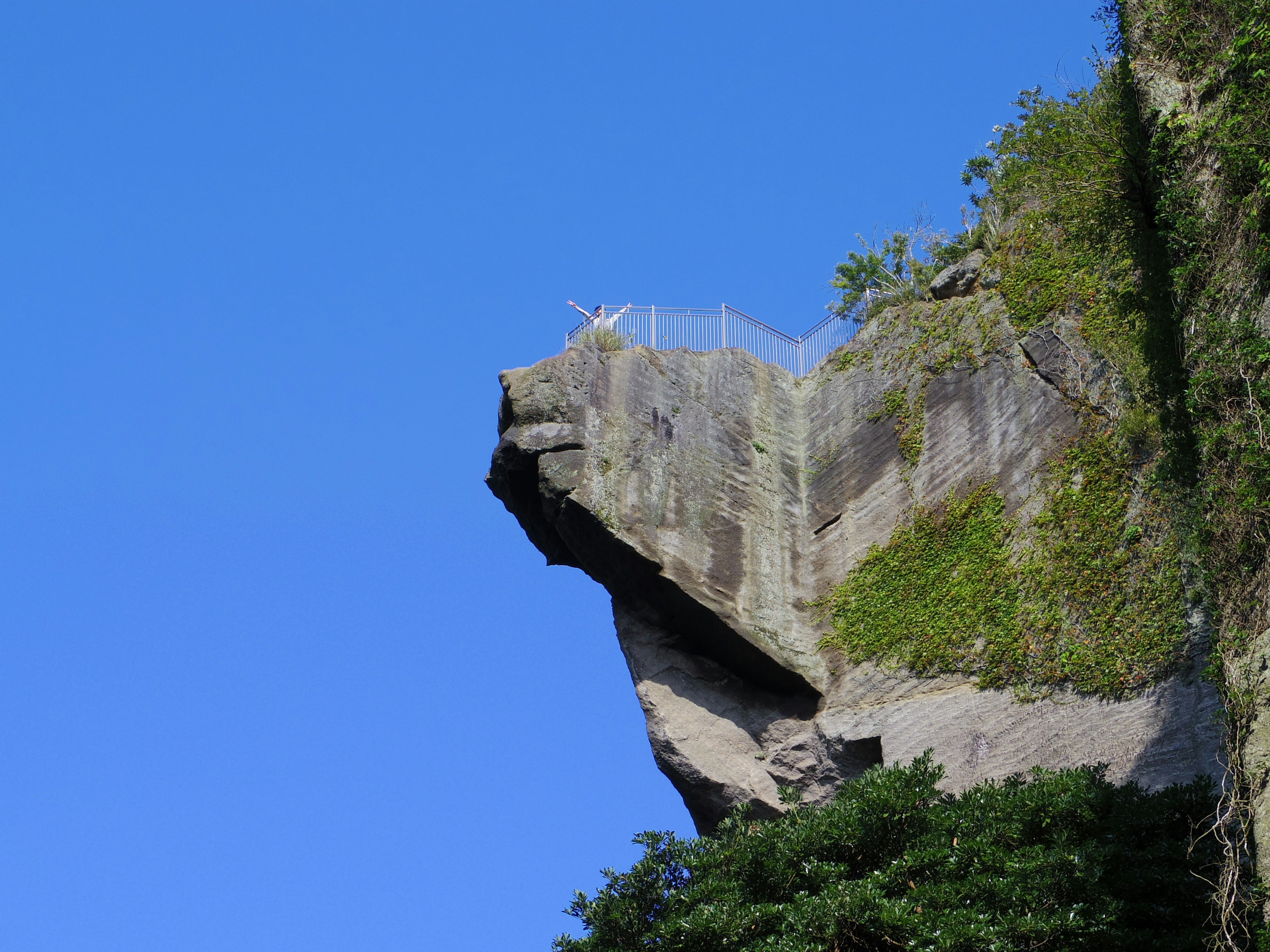 Rock formation resembling an animal face surrounded by greenery and blue sky