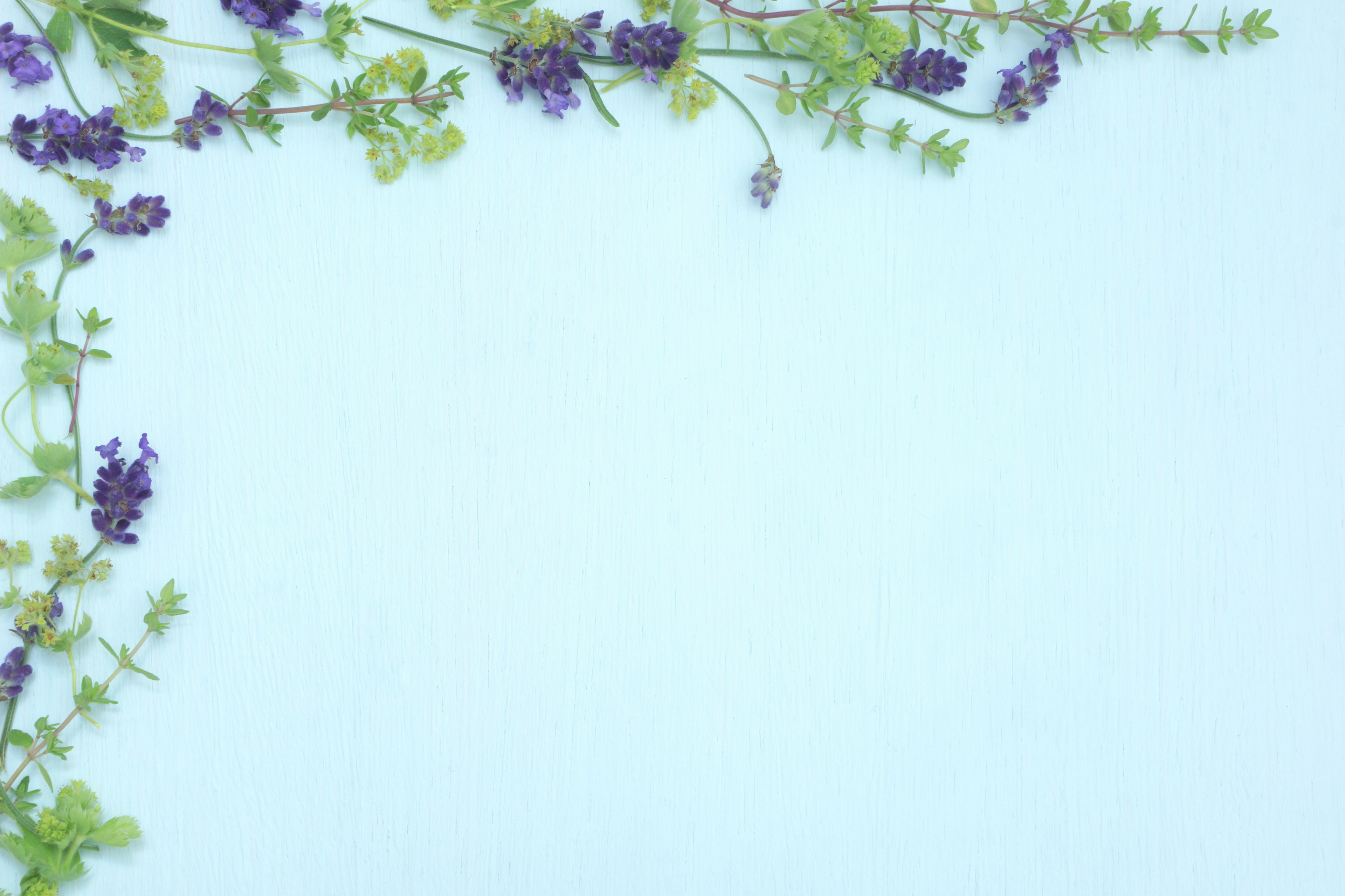 A design featuring green and purple flowers on a blue background