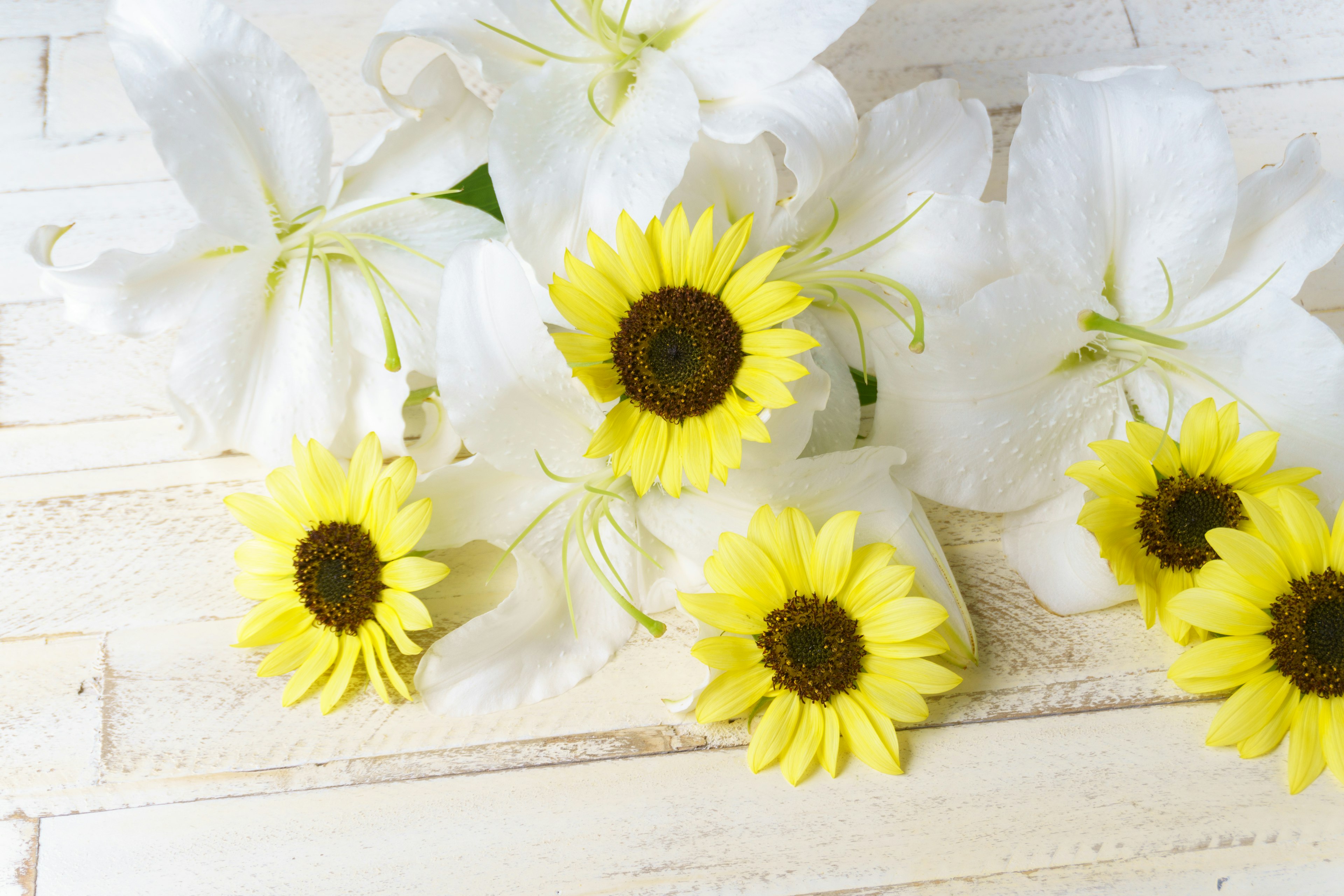 Un bel arrangement de fleurs blanches et de tournesols jaunes