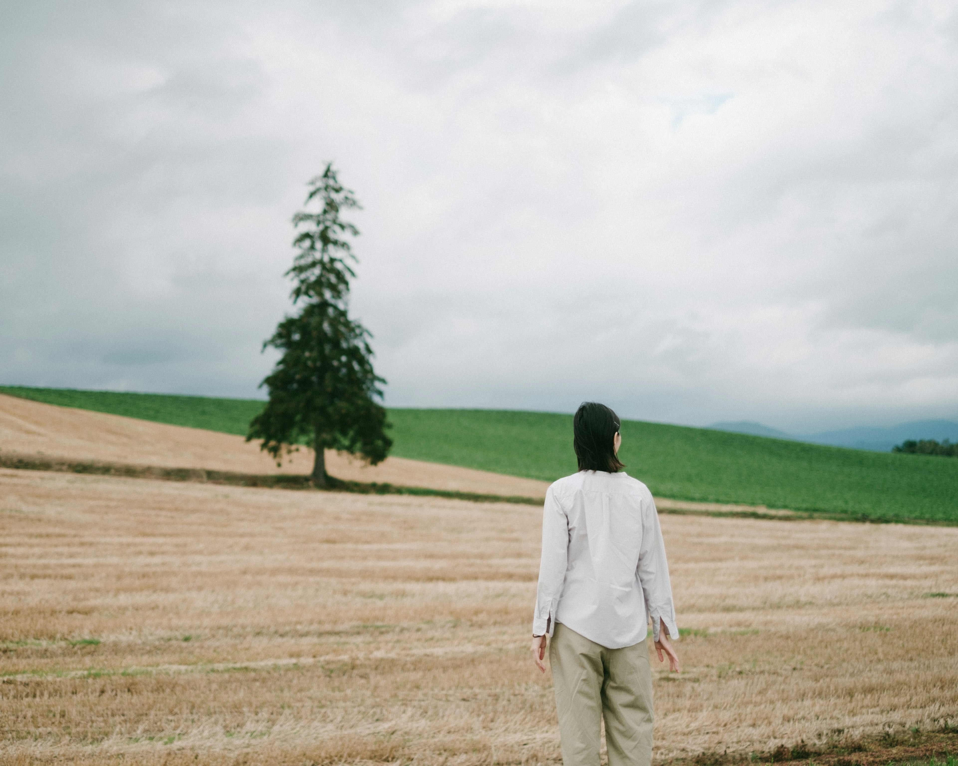 Una persona in piedi in un vasto campo con un albero sotto un cielo nuvoloso