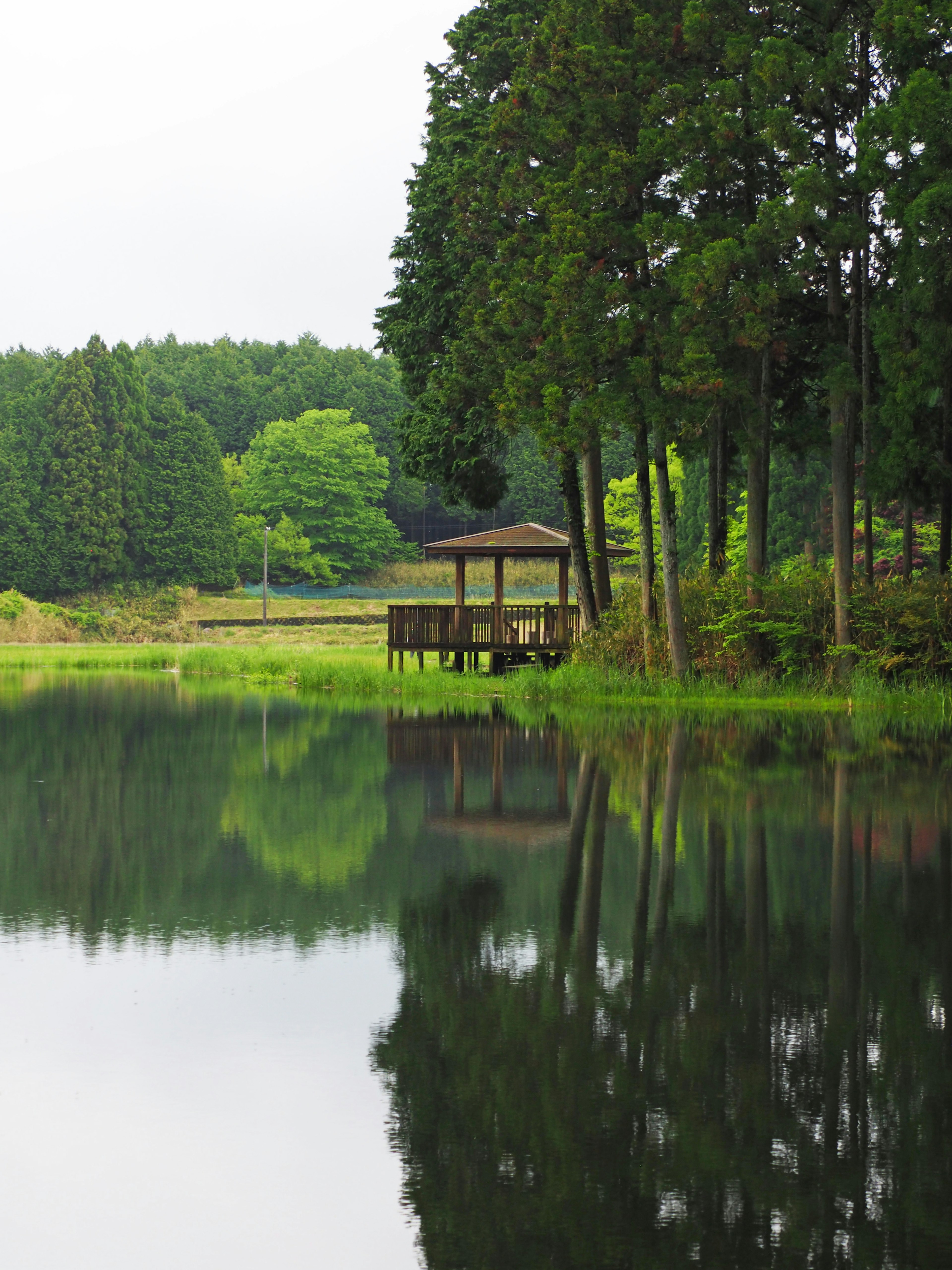 Lago sereno che riflette un gazebo in legno circondato da vegetazione