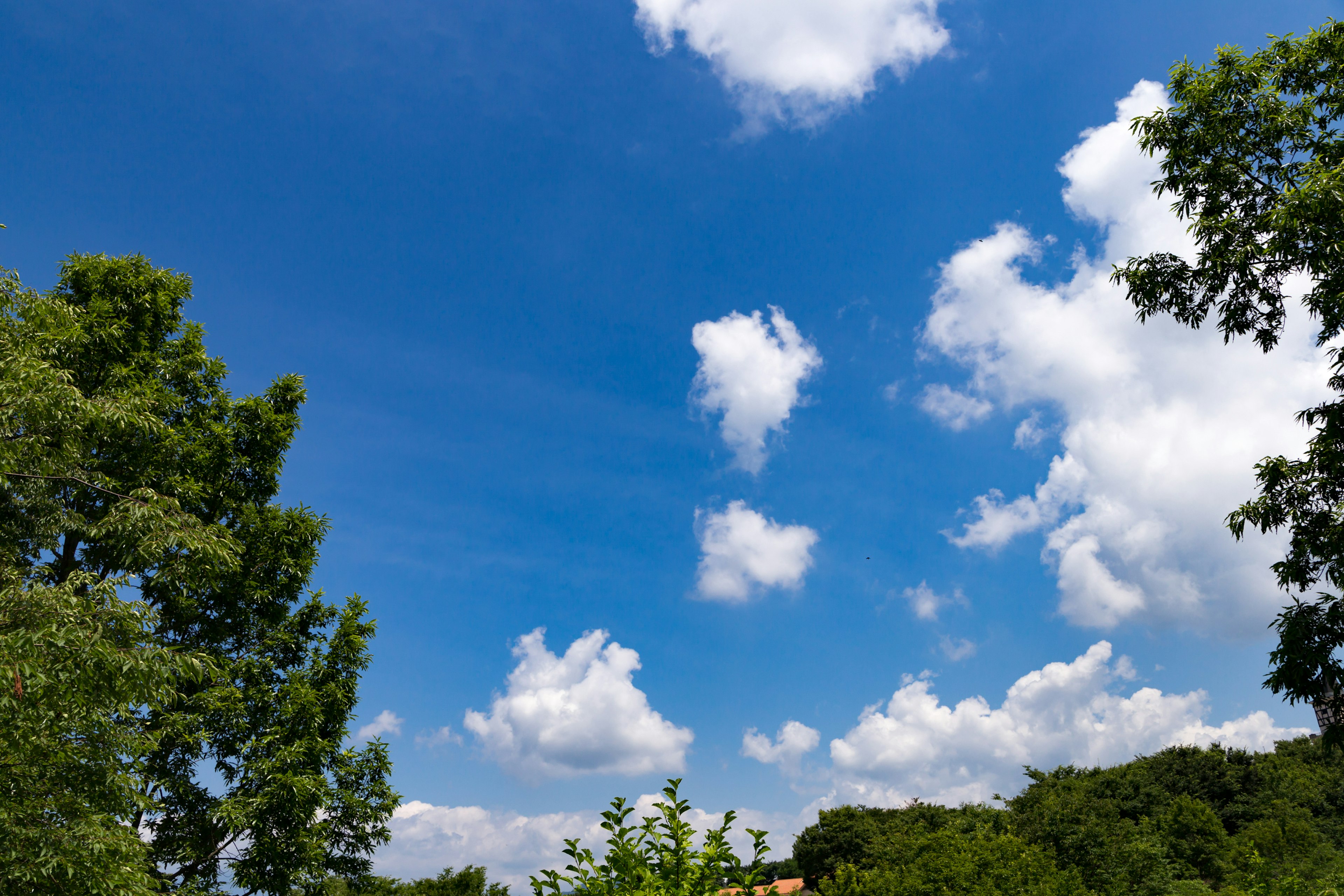 Lanskap dengan langit biru, awan putih, dan pohon hijau