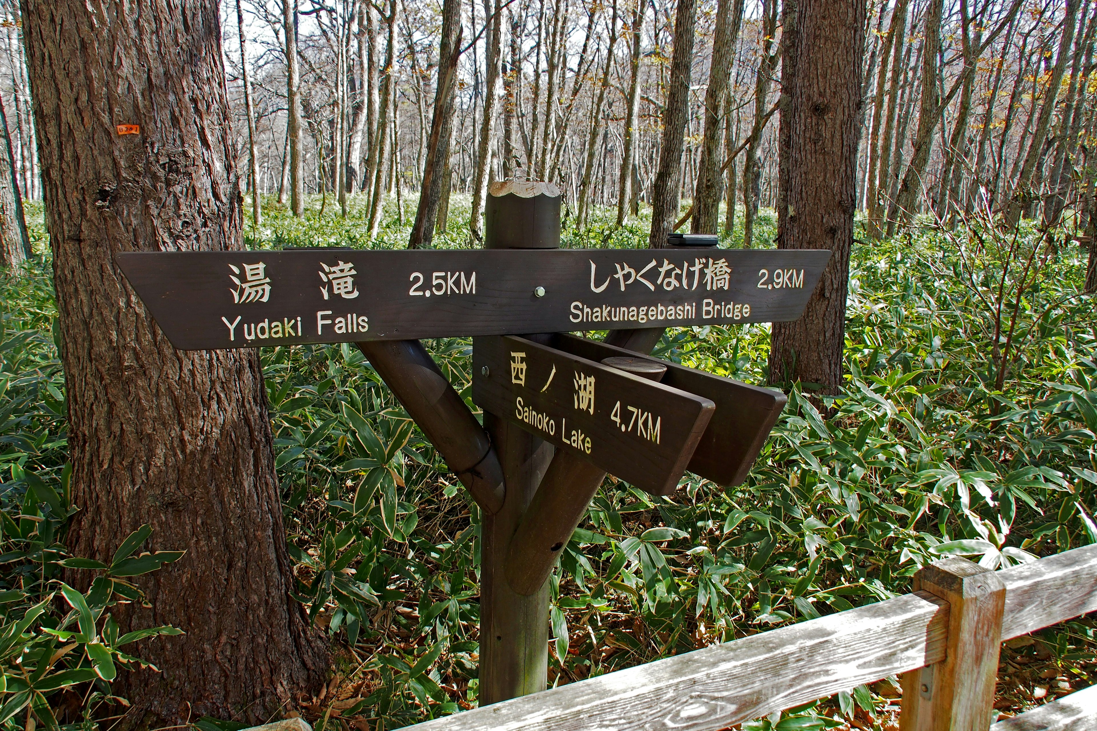 Cartel que indica las cascadas de Yusui y el bosque circundante