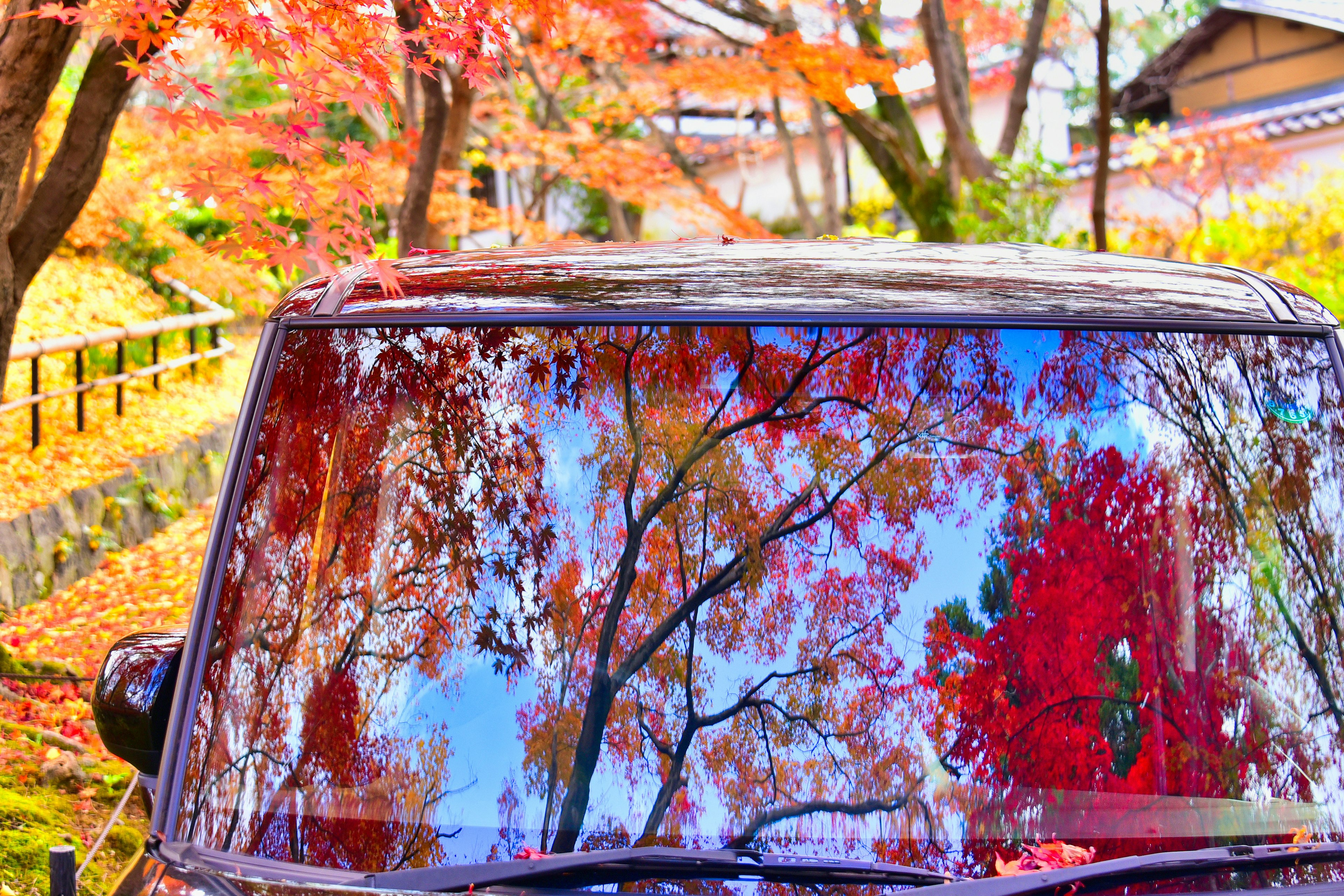 Pare-brise de voiture reflétant des feuilles d'automne vibrantes en rouge et orange