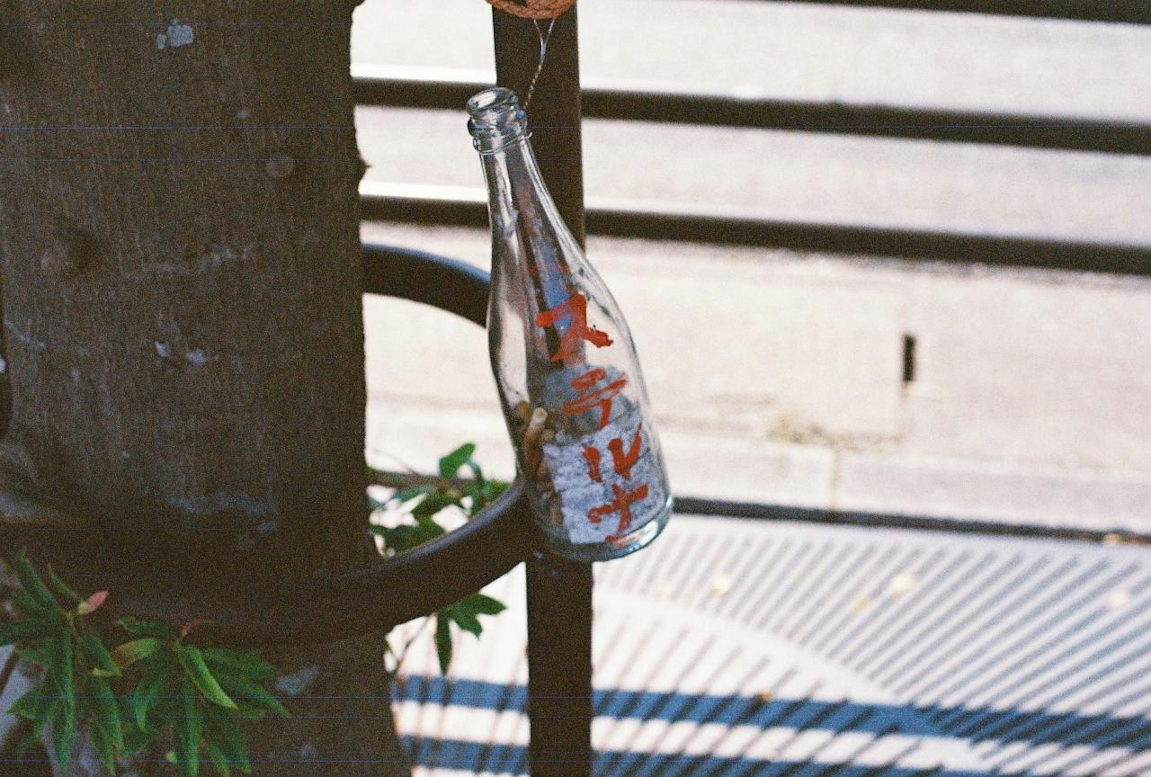 Glass bottle hanging from a tree with red lettering