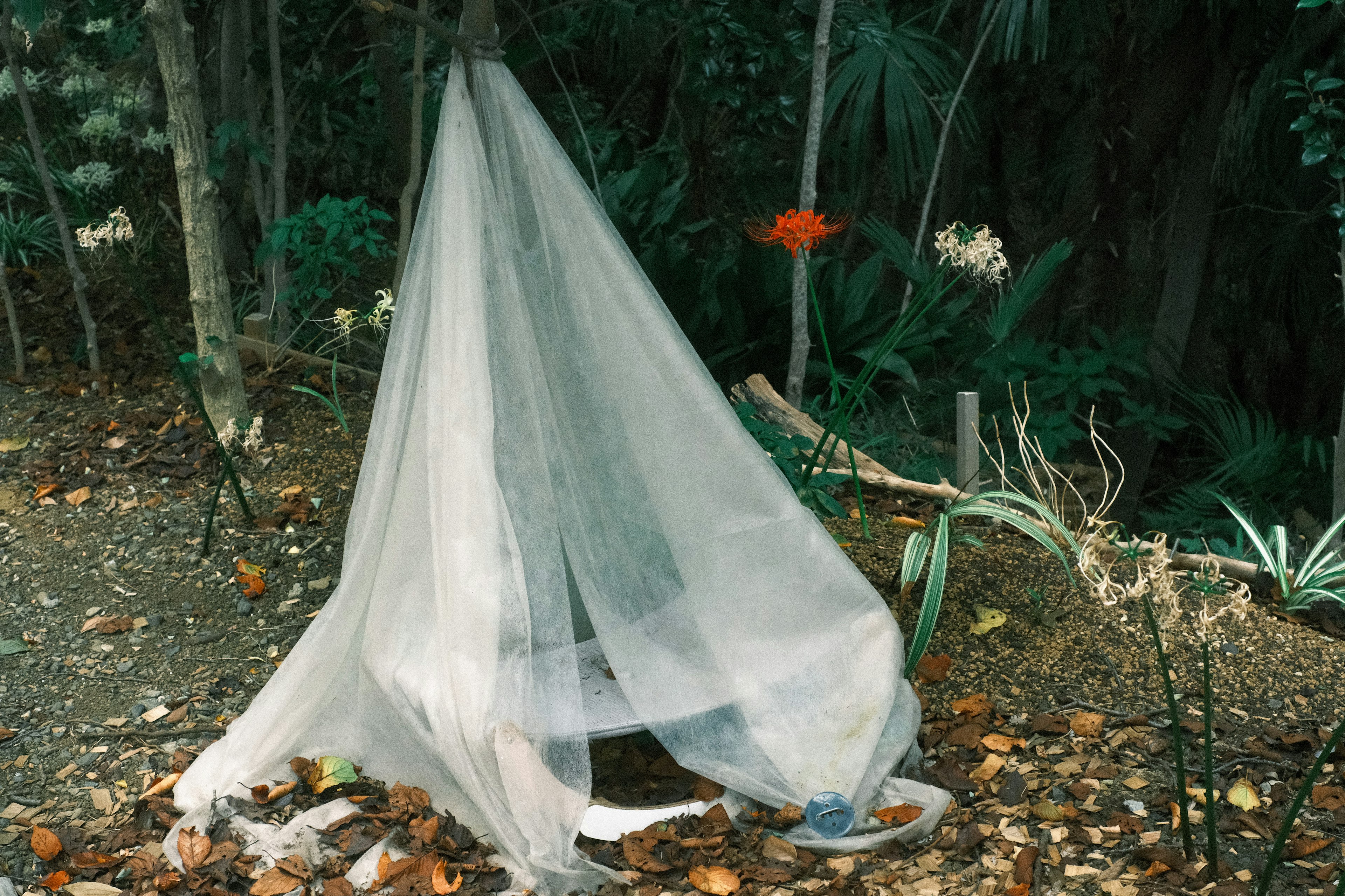 白い布で覆われた小屋と周囲の緑の植物