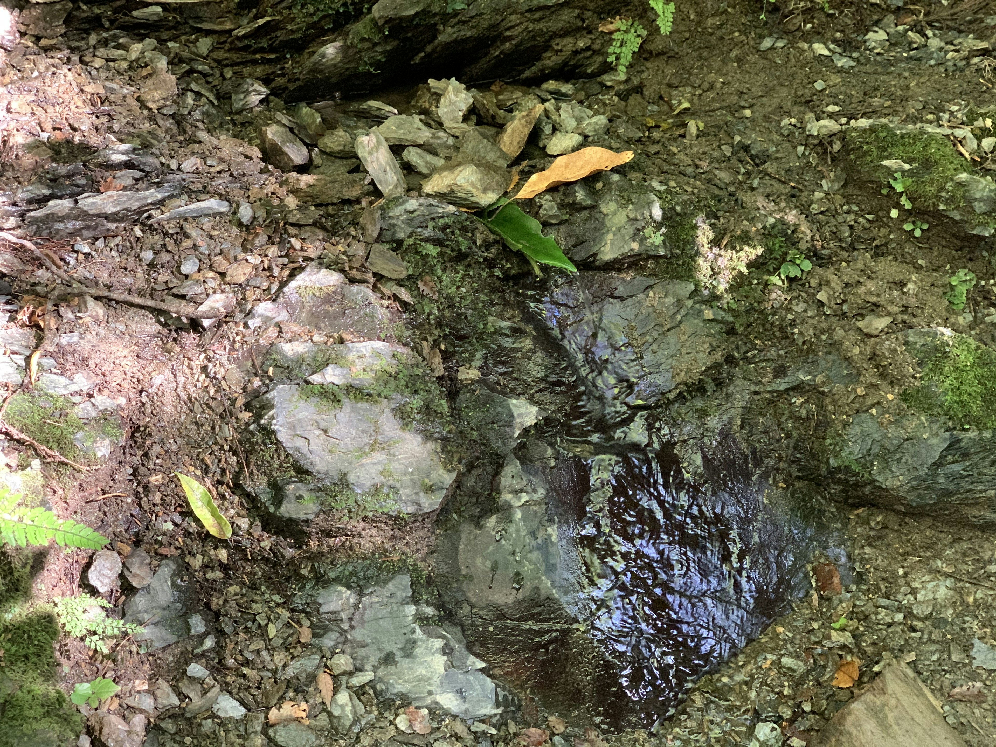 Un petit ruisseau coulant parmi des rochers et des cailloux