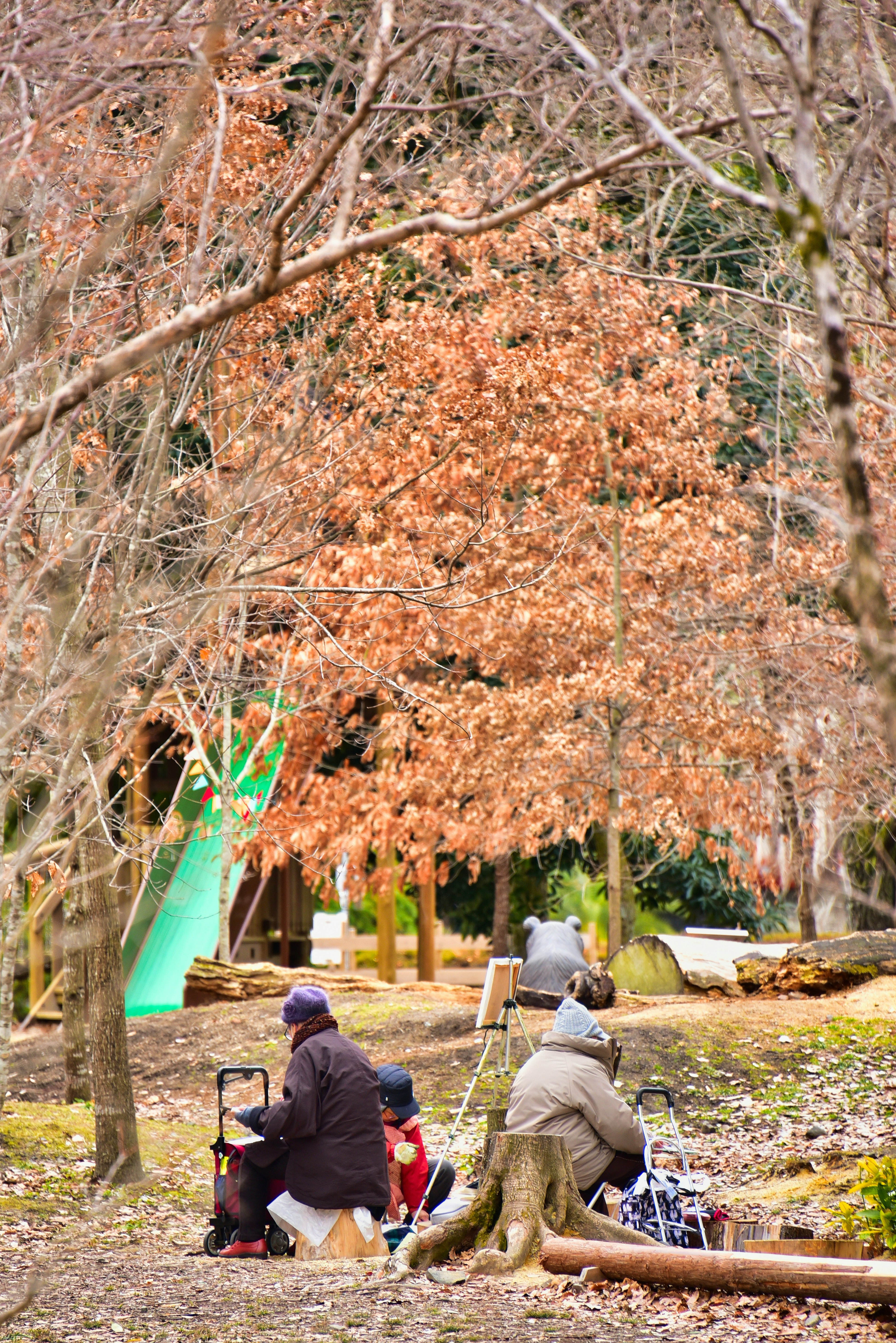 人們在冬季樹木環繞的公園中放鬆