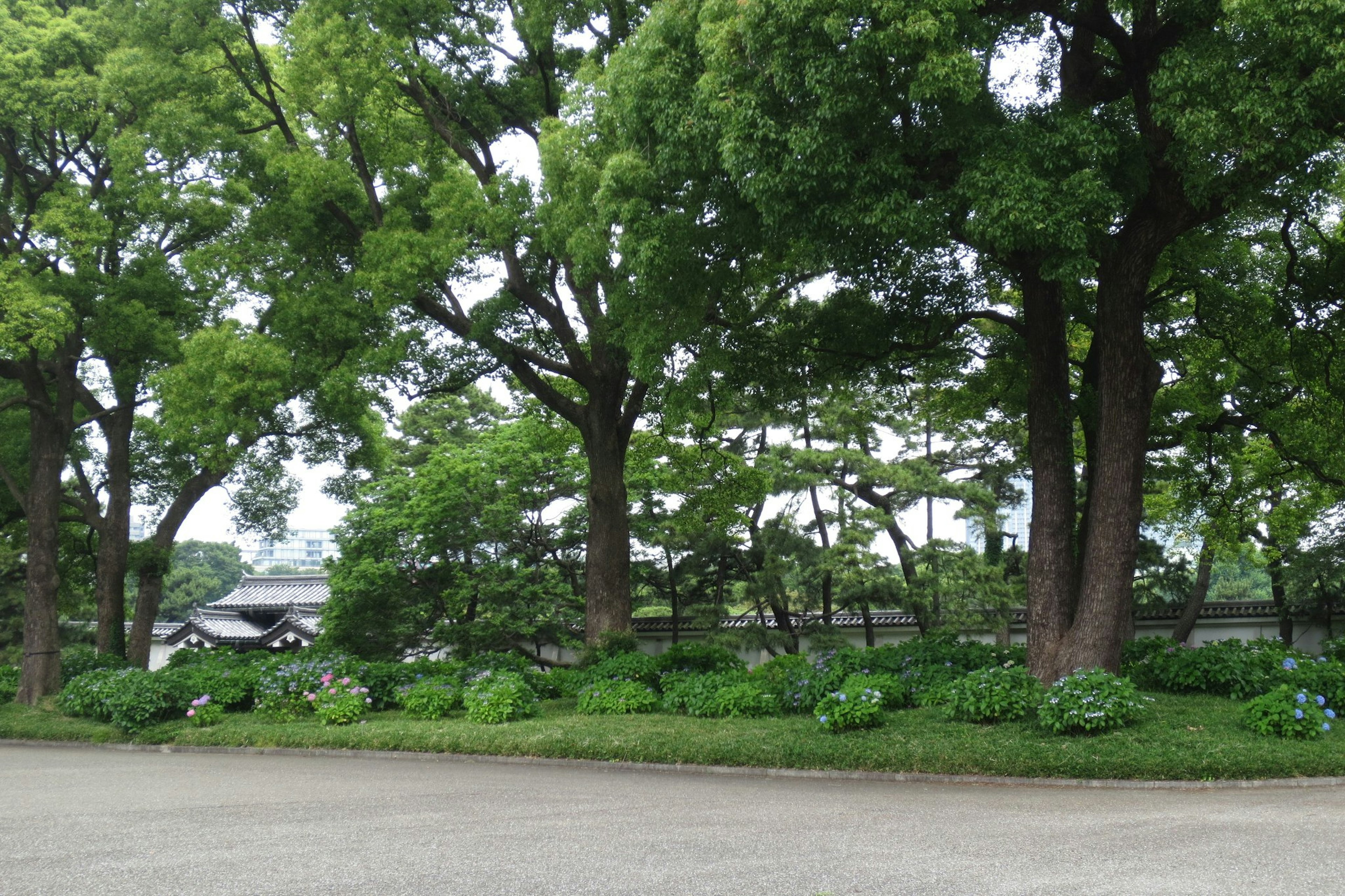 緑豊かな木々と花が咲く風景