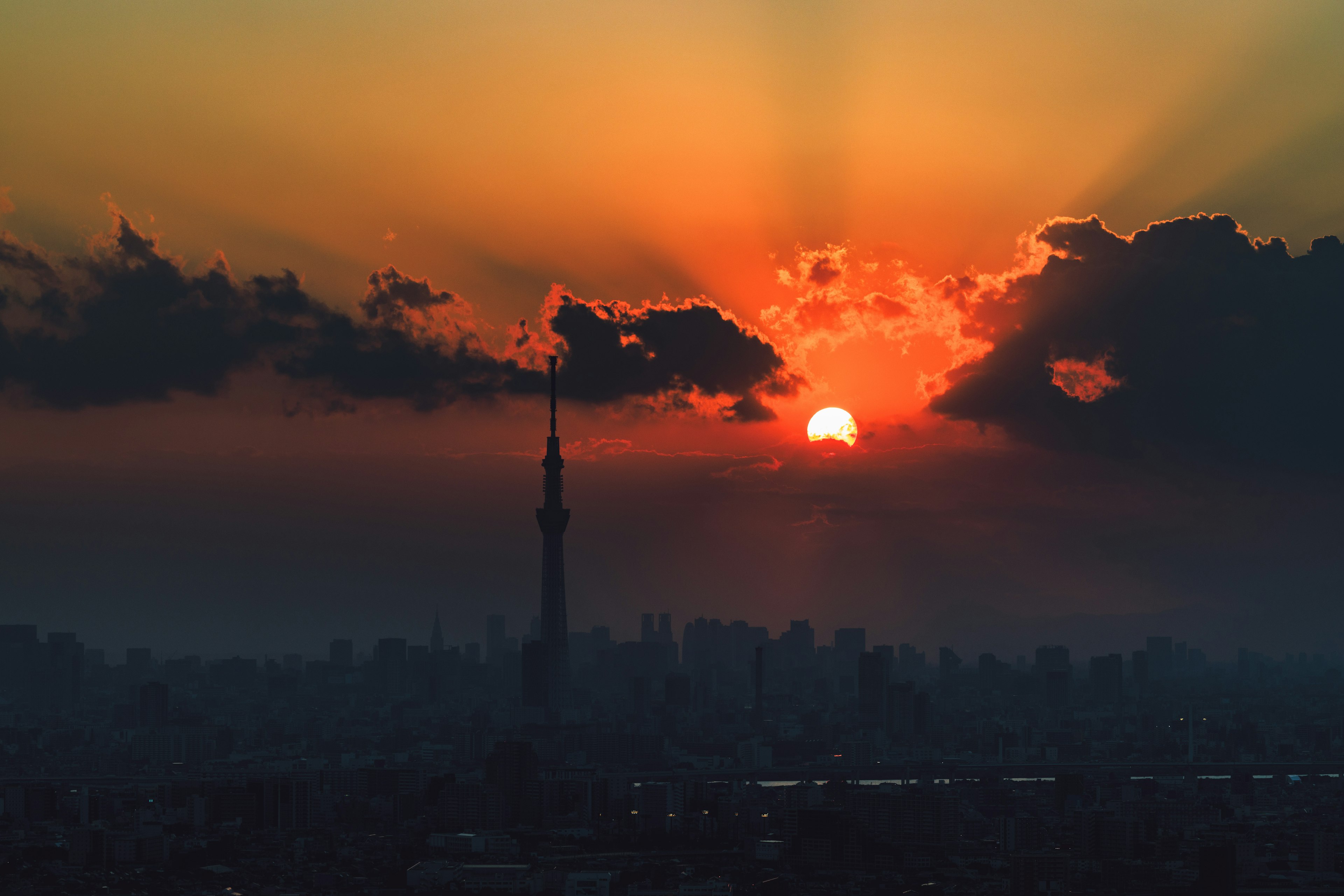 東京スカイツリーと夕日が美しいシルエットを描く風景