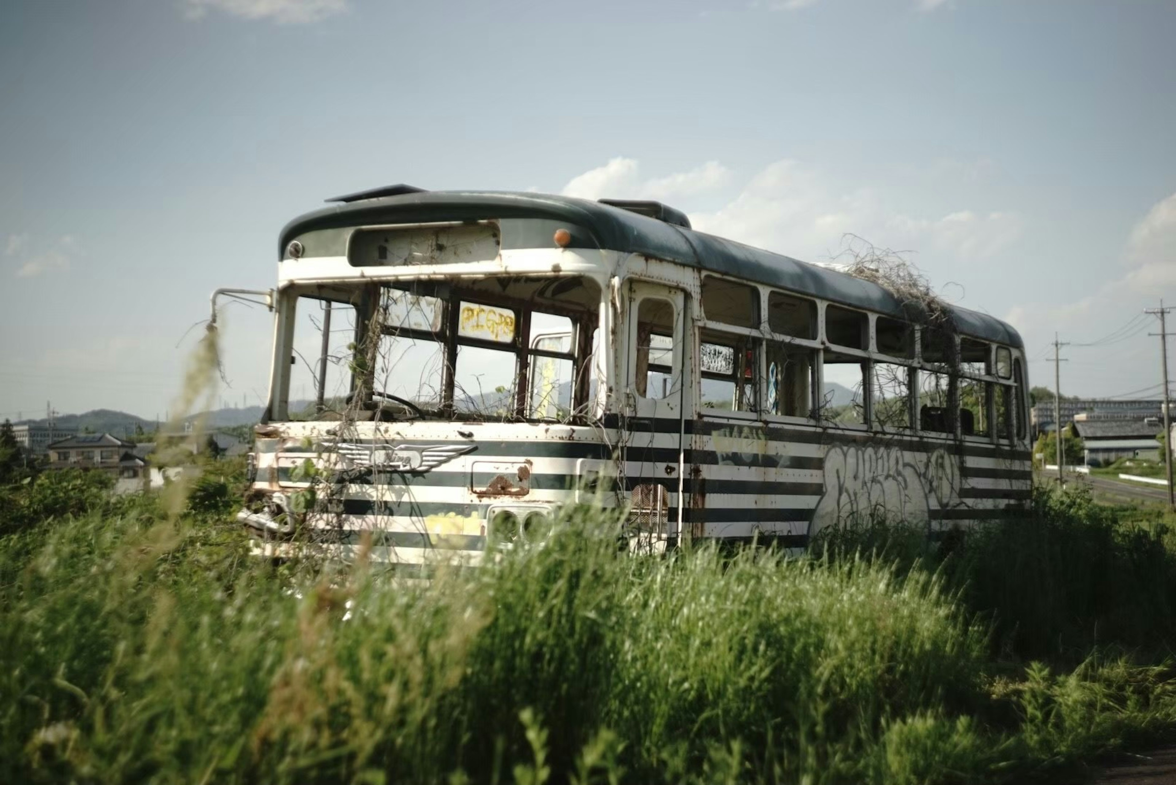 Abandoned striped bus overgrown with grass