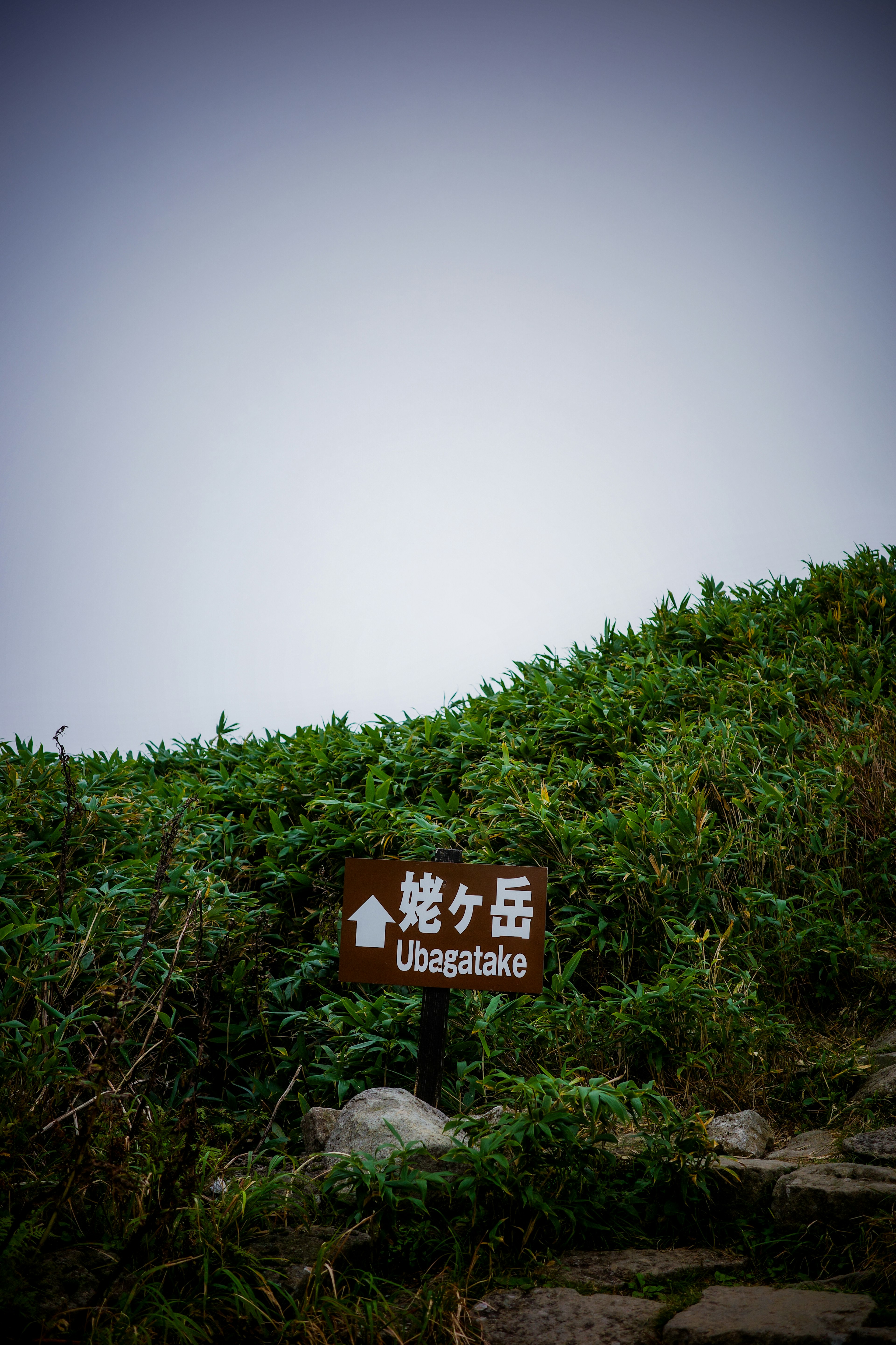 緑の草地に立つ「姫ヶ岳」の標識がある風景