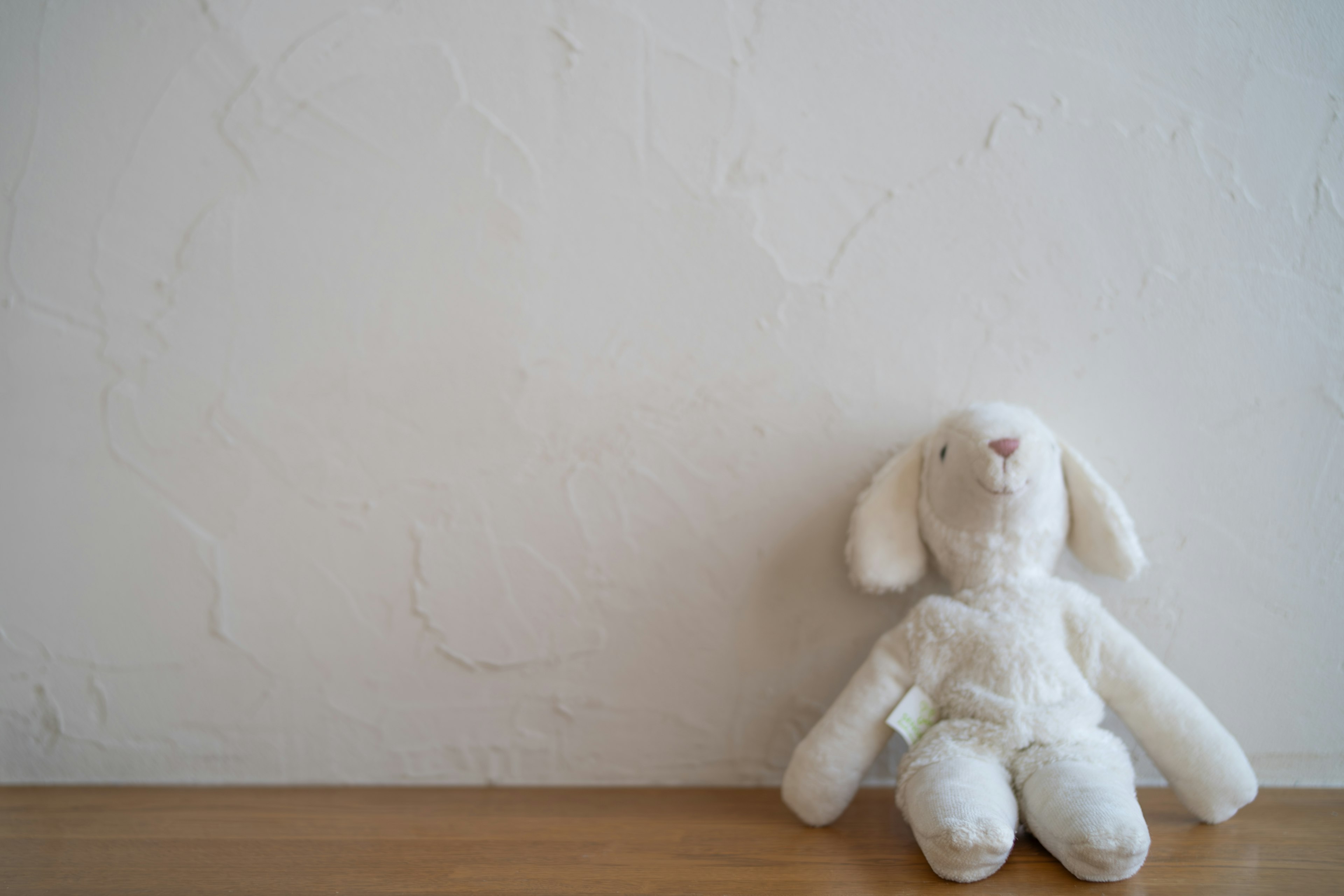 A white rabbit stuffed toy sitting against a textured wall