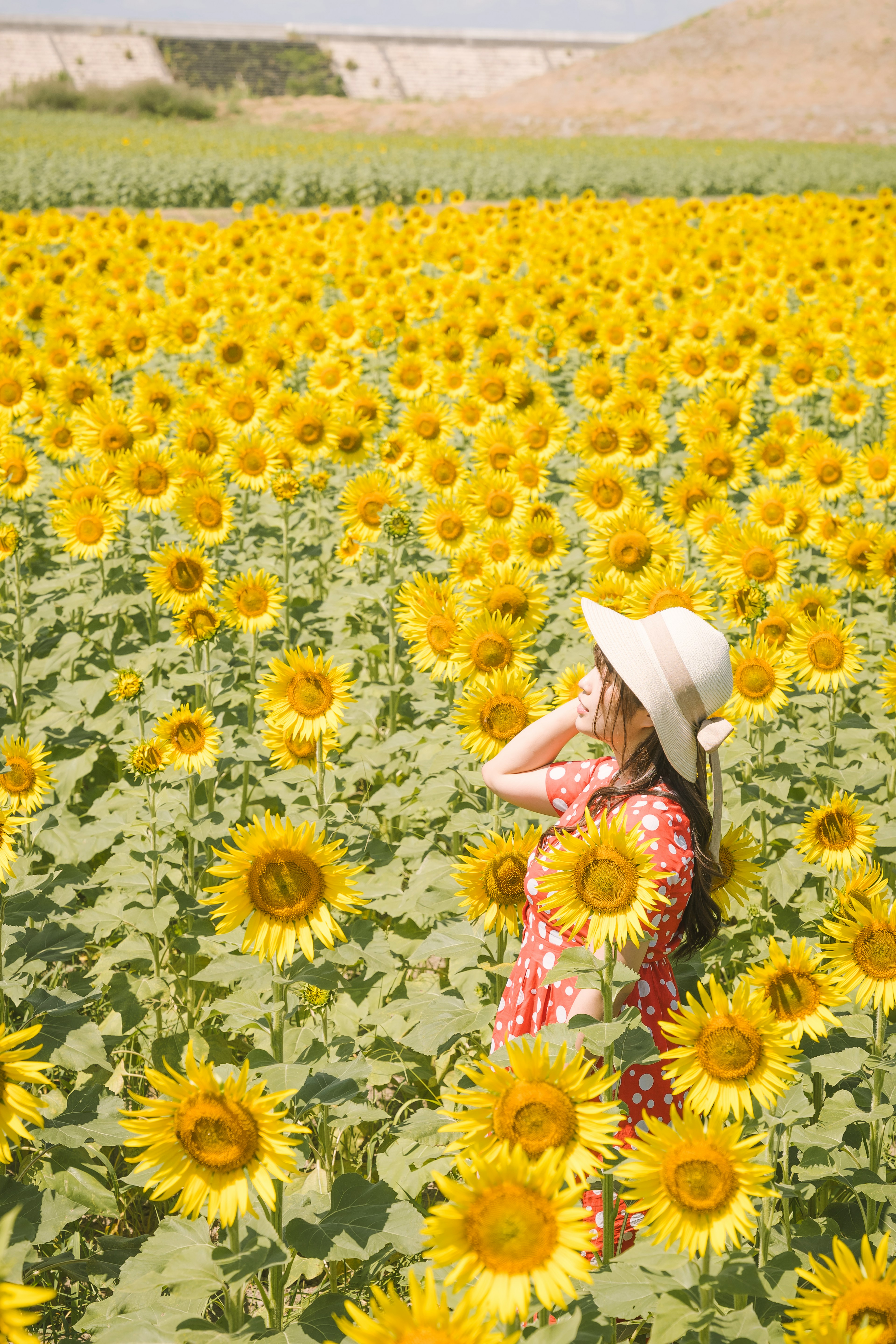 A woman standing in a sunflower field with a wide expanse of yellow sunflowers