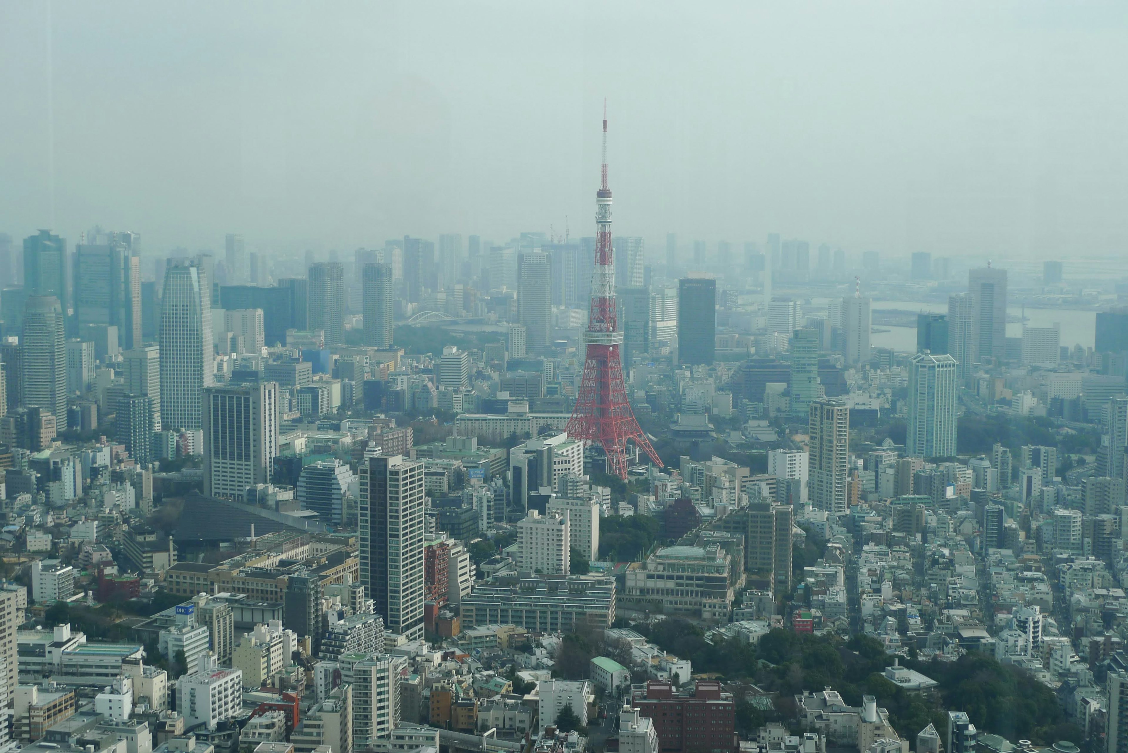 Aerial view of Tokyo with Tokyo Tower among skyscrapers