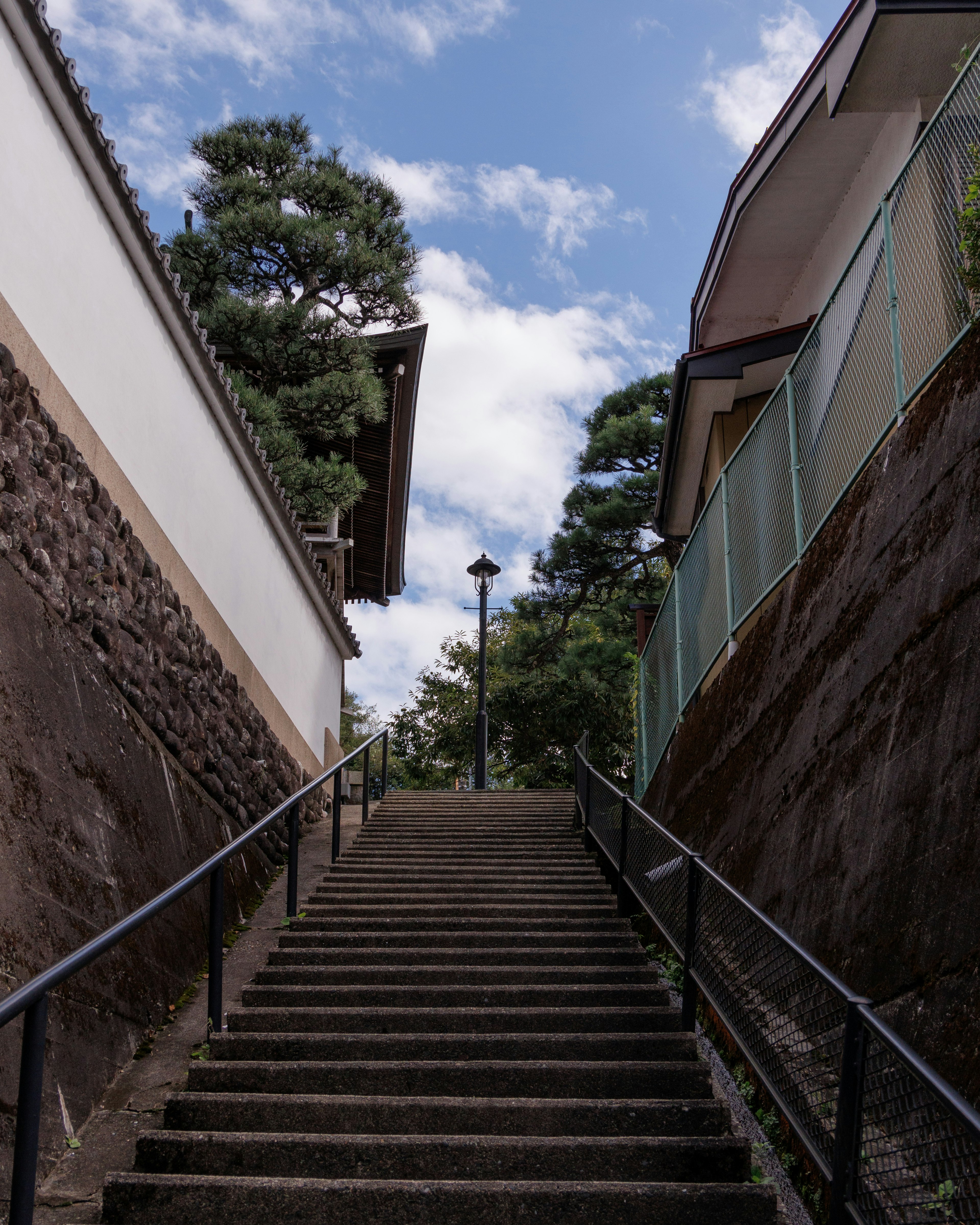 Vue des escaliers depuis le bas avec des murs et des arbres de chaque côté