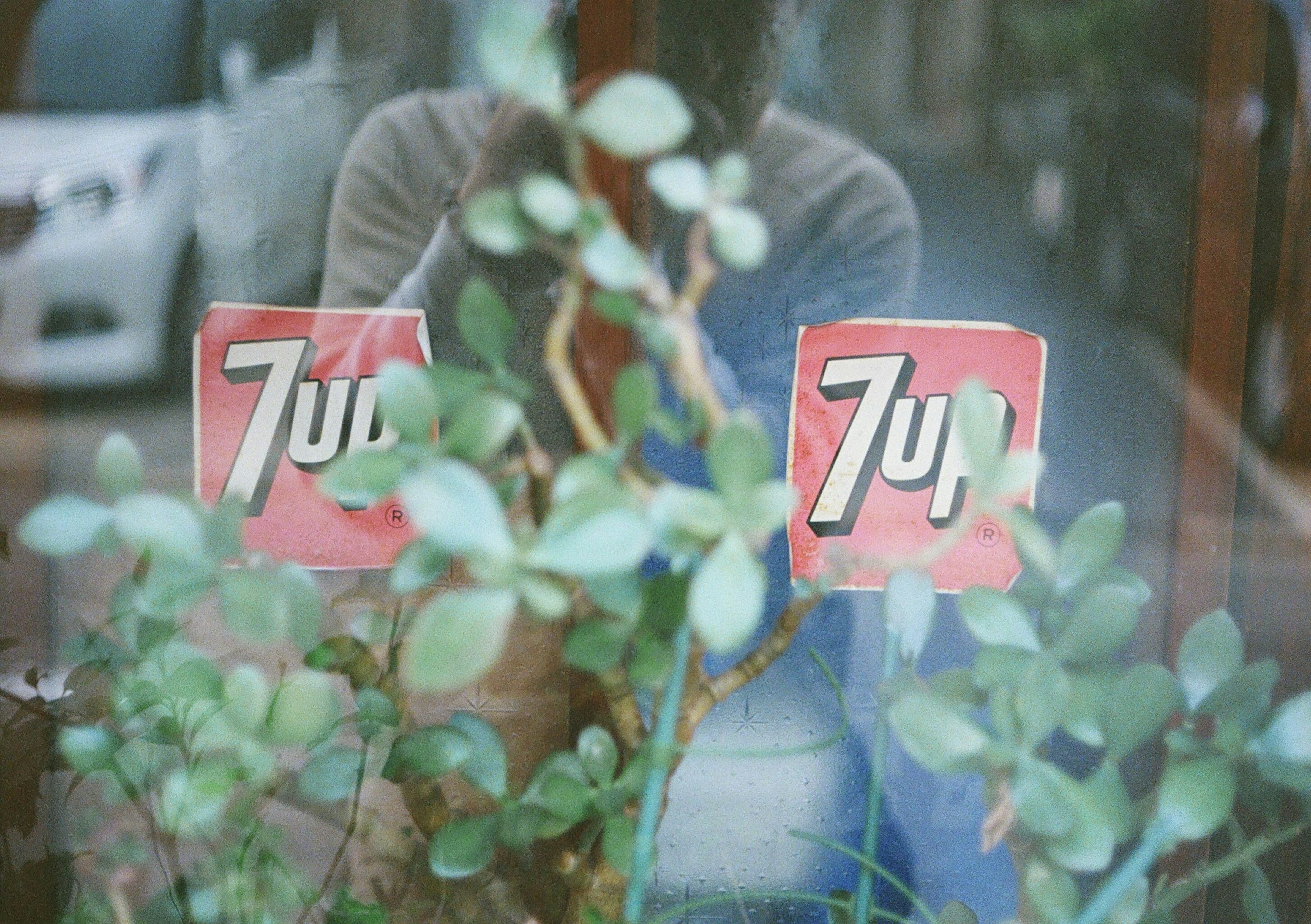 Logo de 7UP visible a través de una ventana con plantas verdes