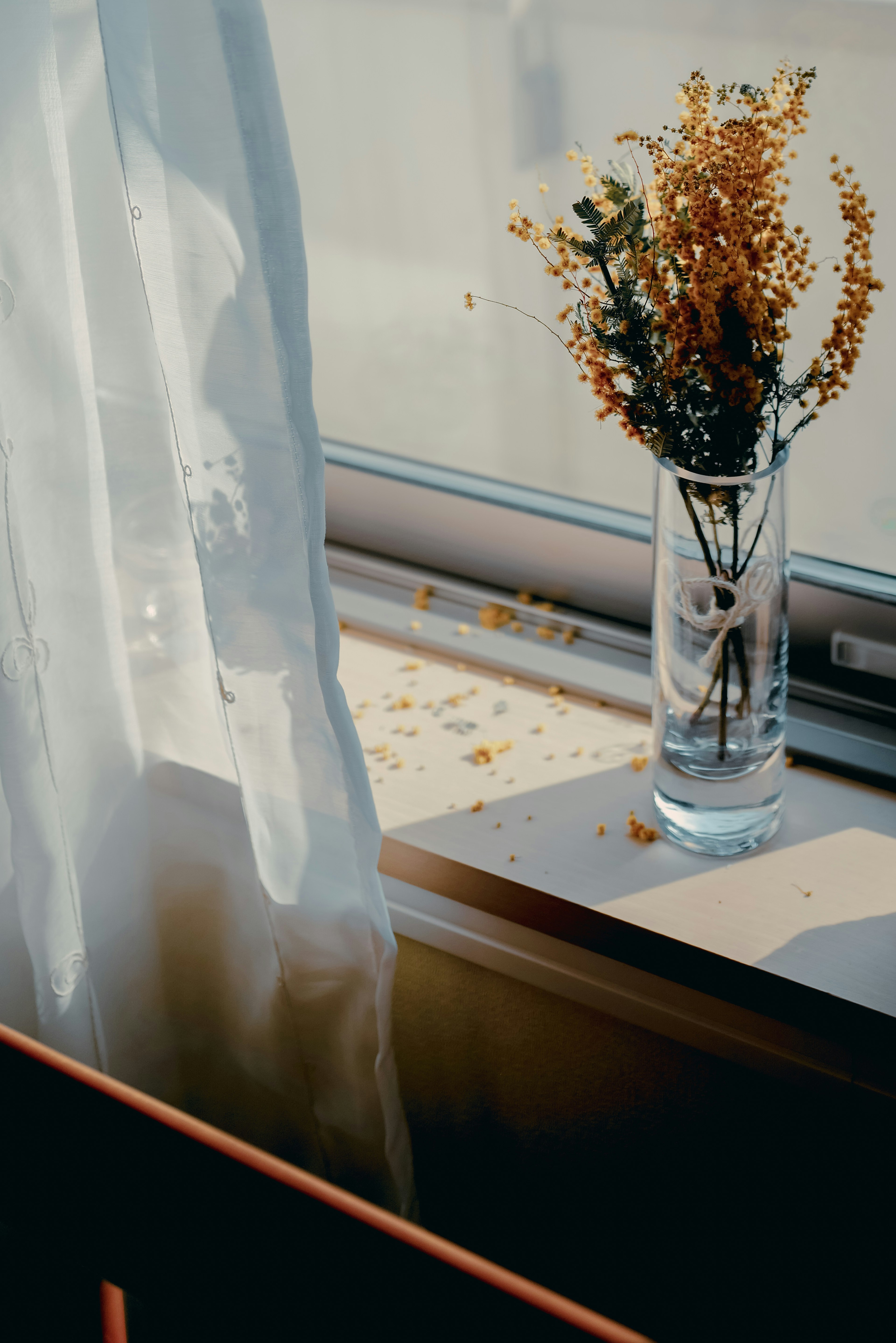 Una escena soleada con un jarrón transparente que contiene flores secas en un alféizar de ventana