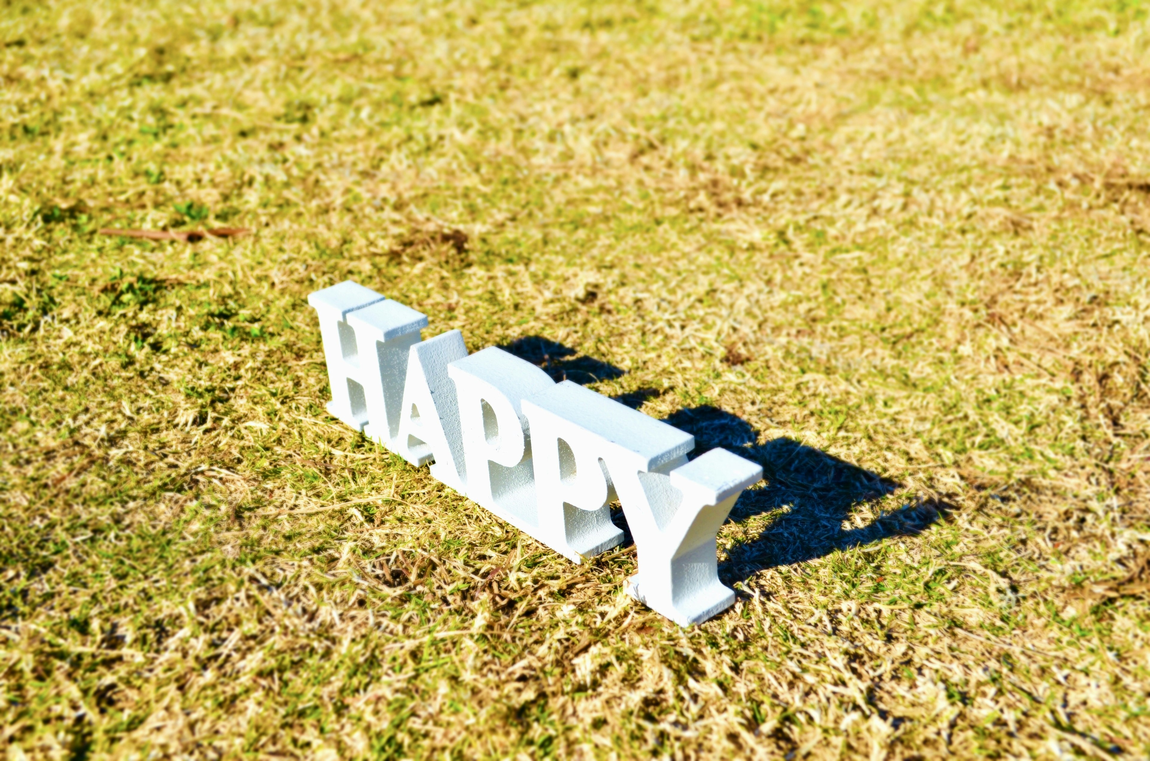 Teks putih yang mengeja 'HAPPY' di atas rumput