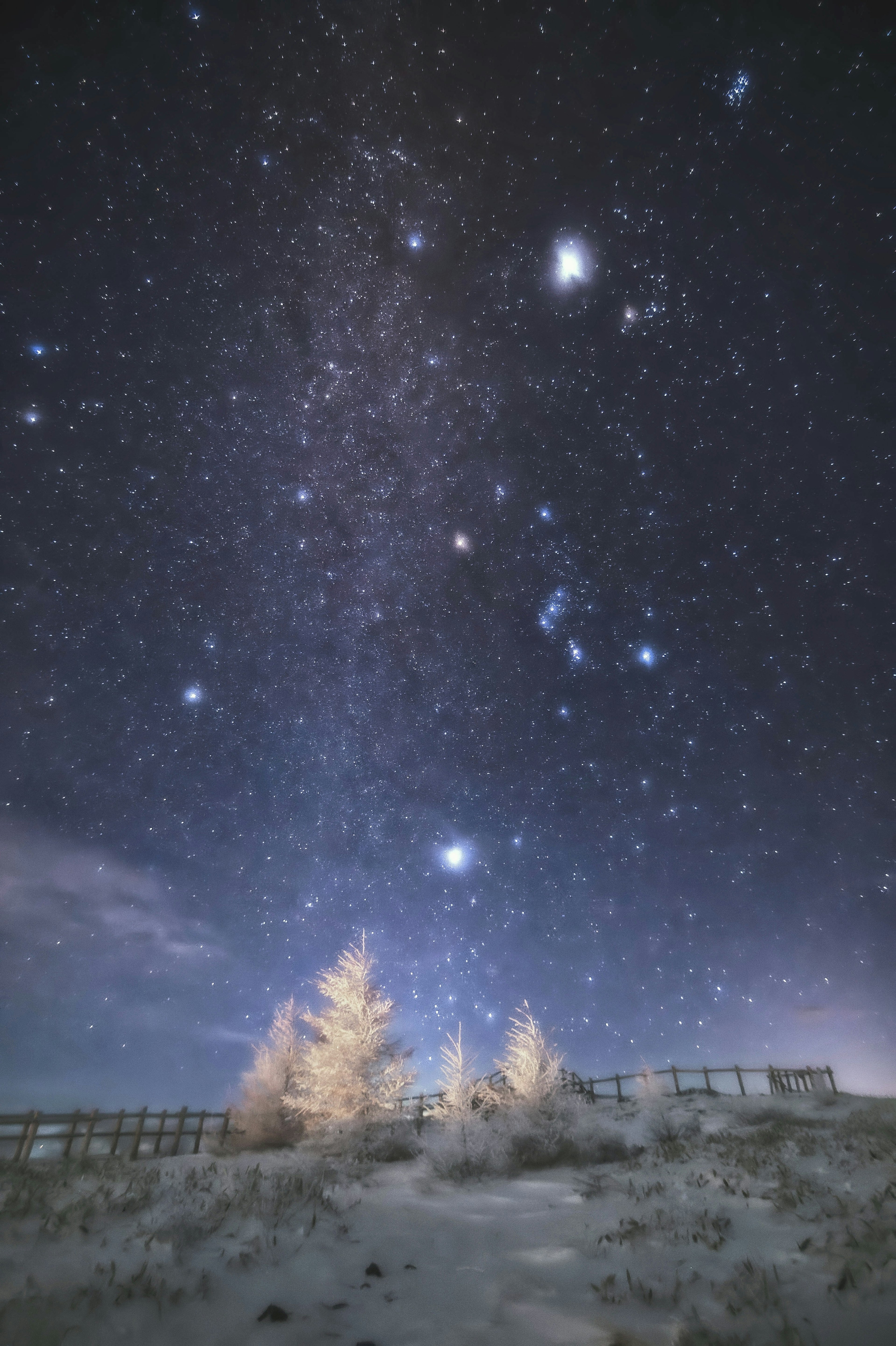 冬の夜空に輝く星々と雪に覆われた木々