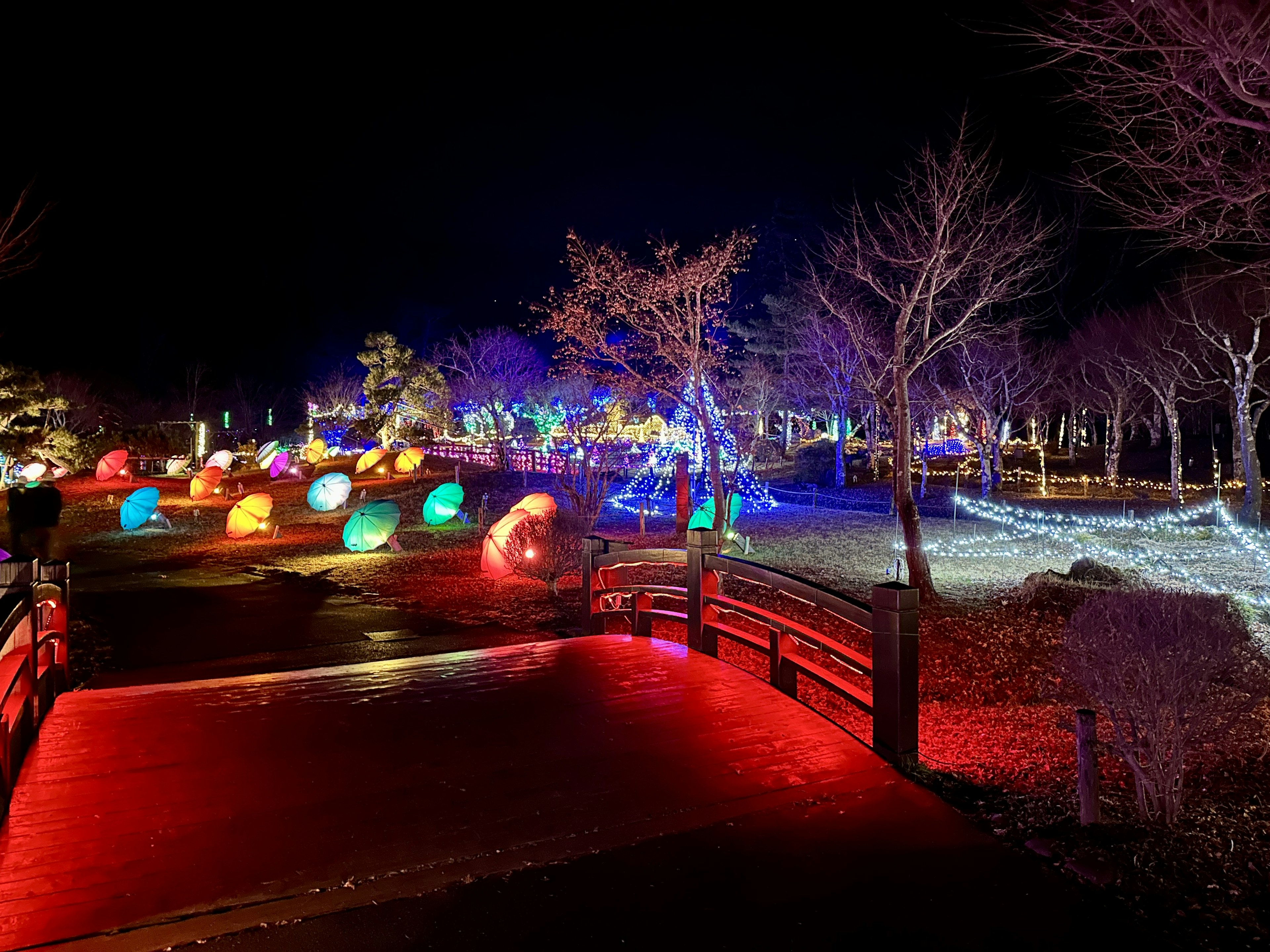 Pemandangan taman dengan lampu berwarna di malam hari