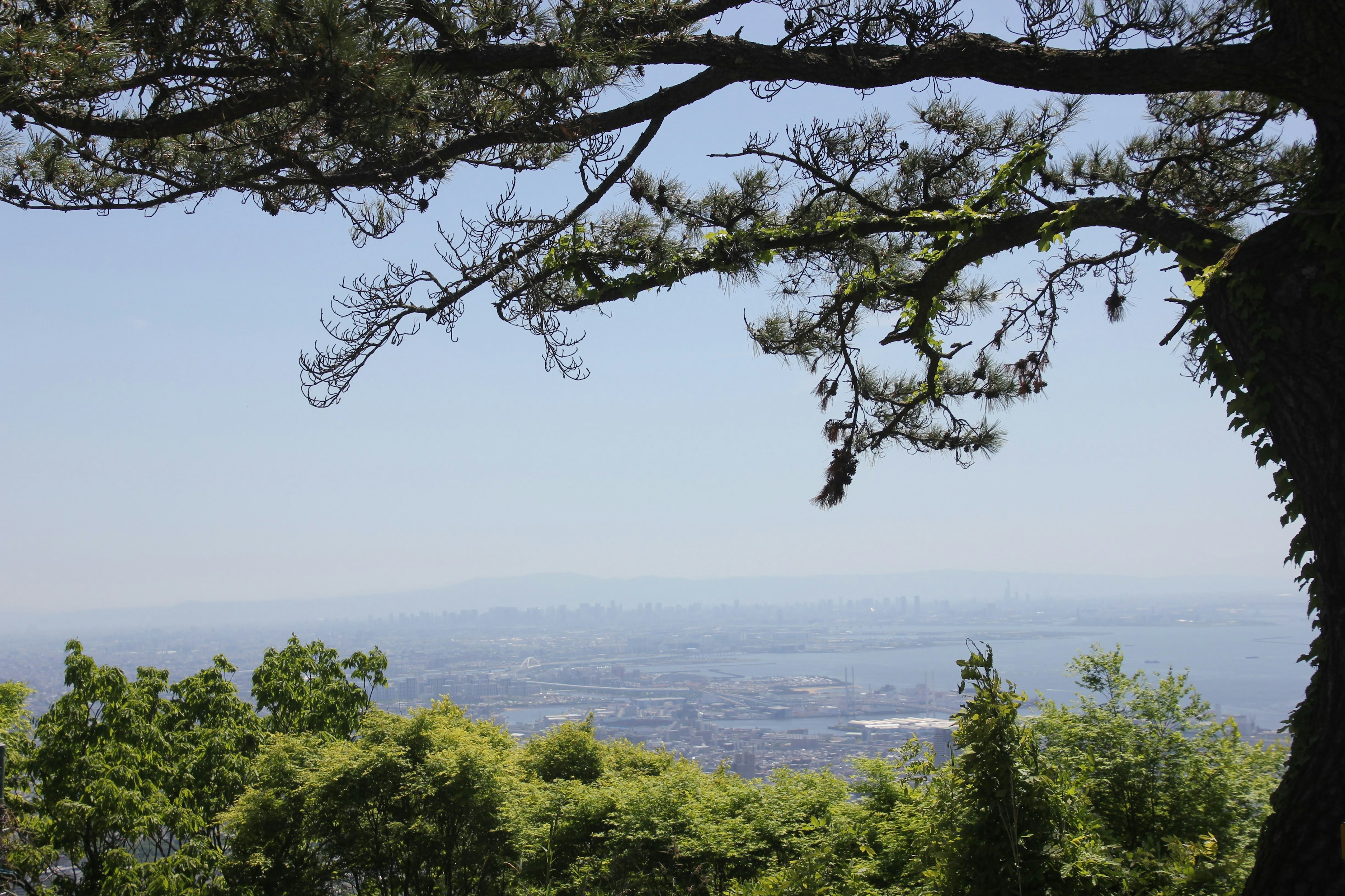 Mountain landscape with blue sky and green trees