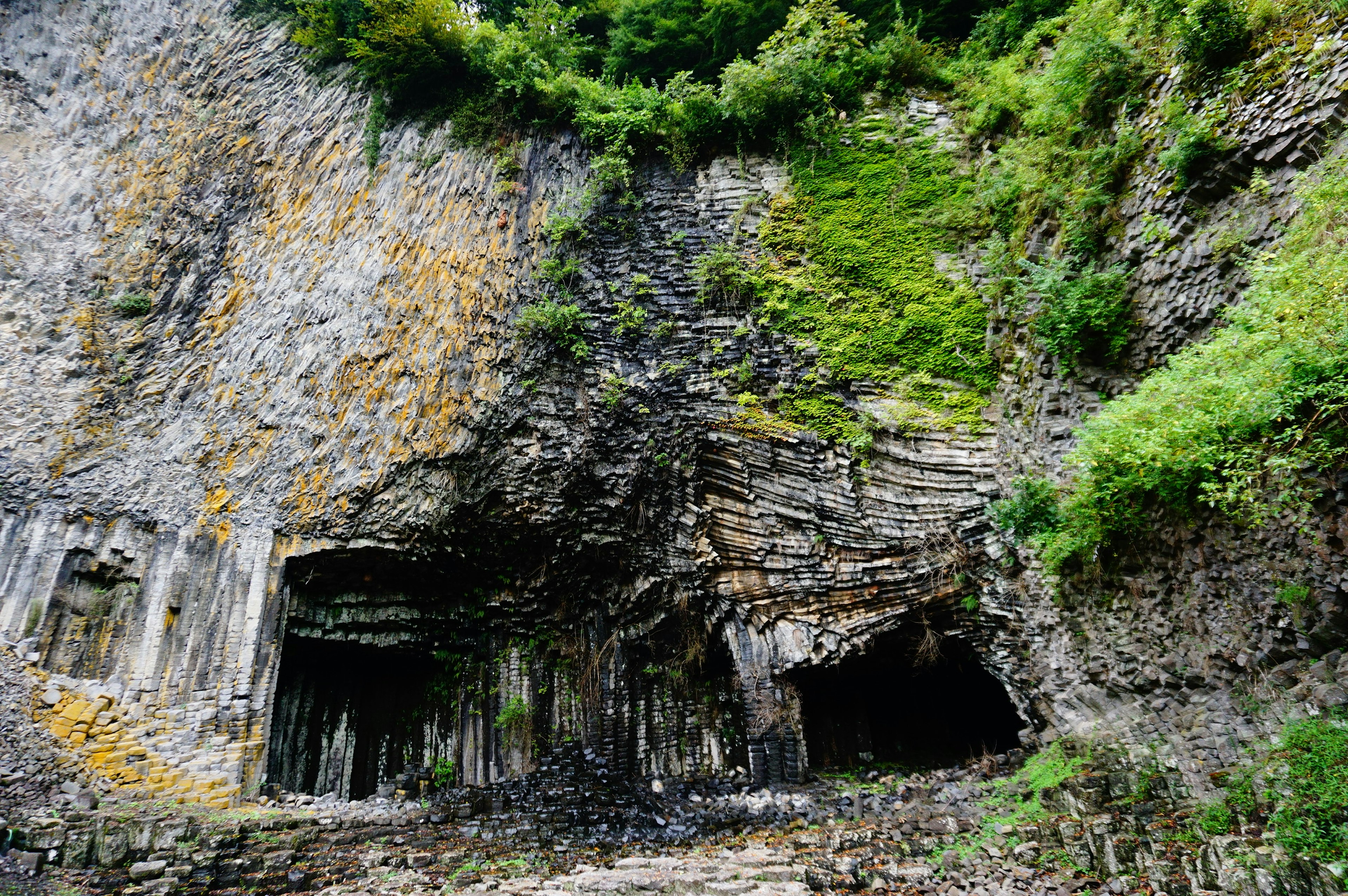 Cave entrances at the base of a lush green cliff with layered rock formations