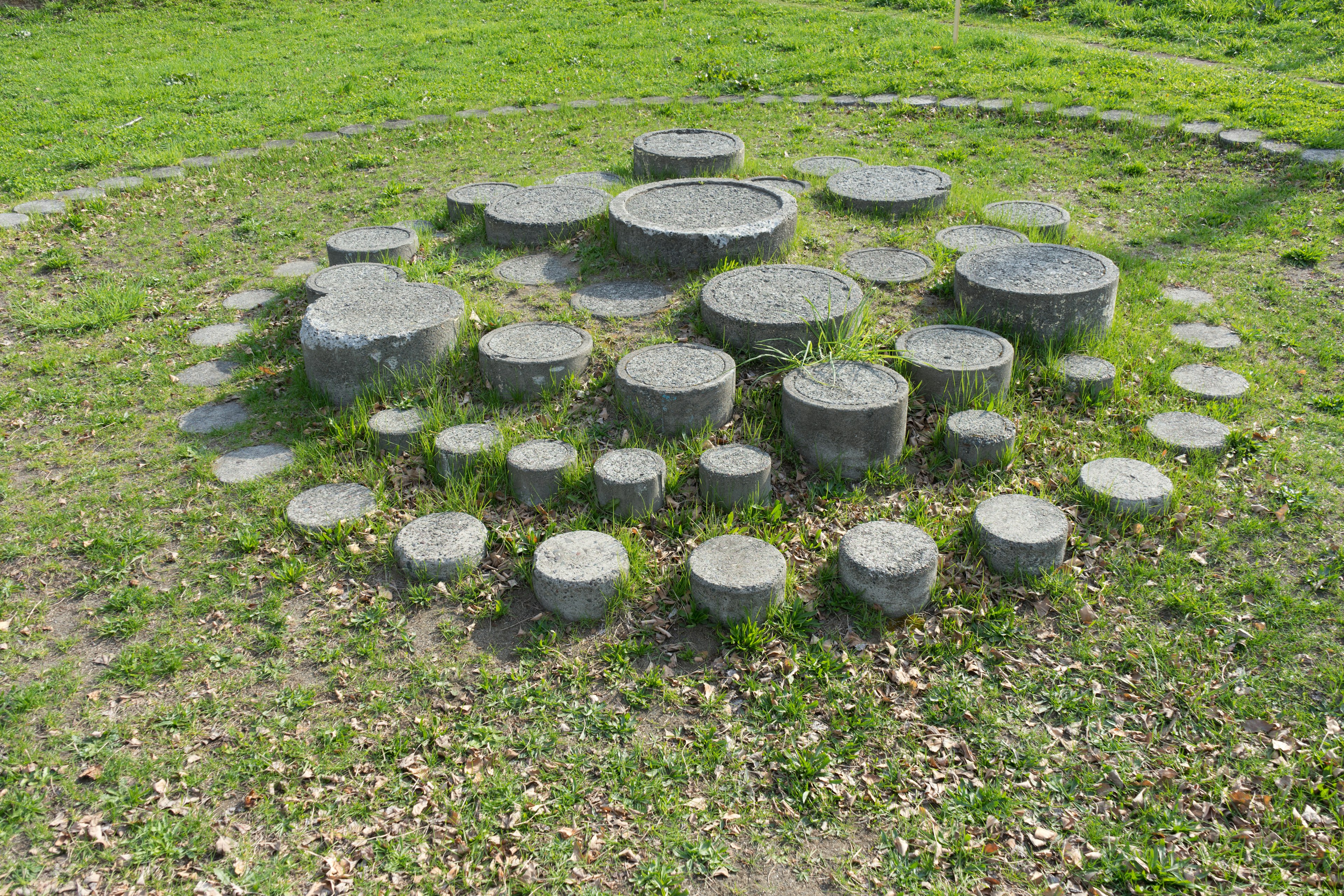 Disposizione circolare di pietre in un parco verde