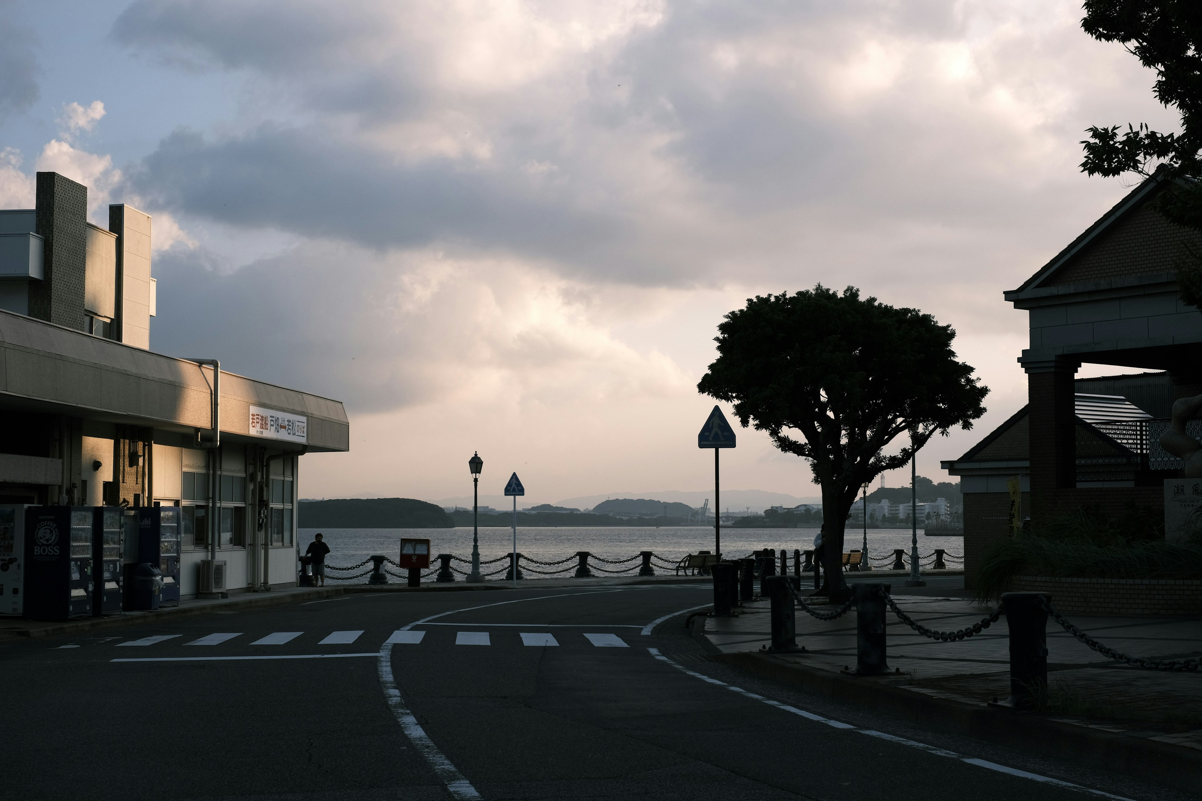 Scenic view of a road by the sea with buildings and a tree under a cloudy sunset sky