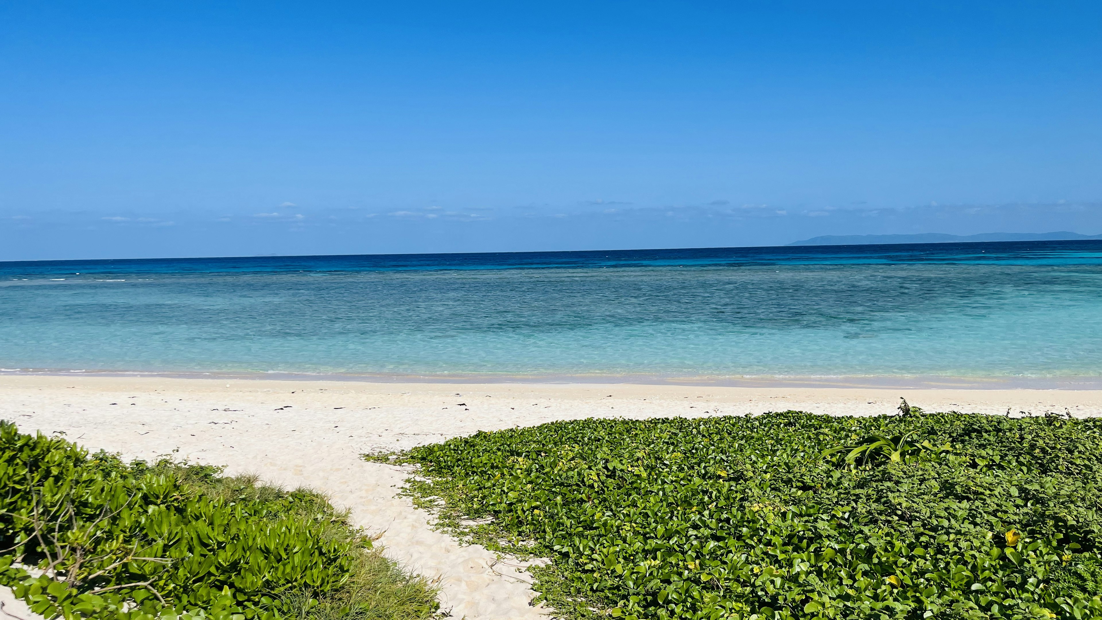 Pemandangan indah laut biru dan pantai berpasir putih dengan vegetasi hijau di sepanjang pantai