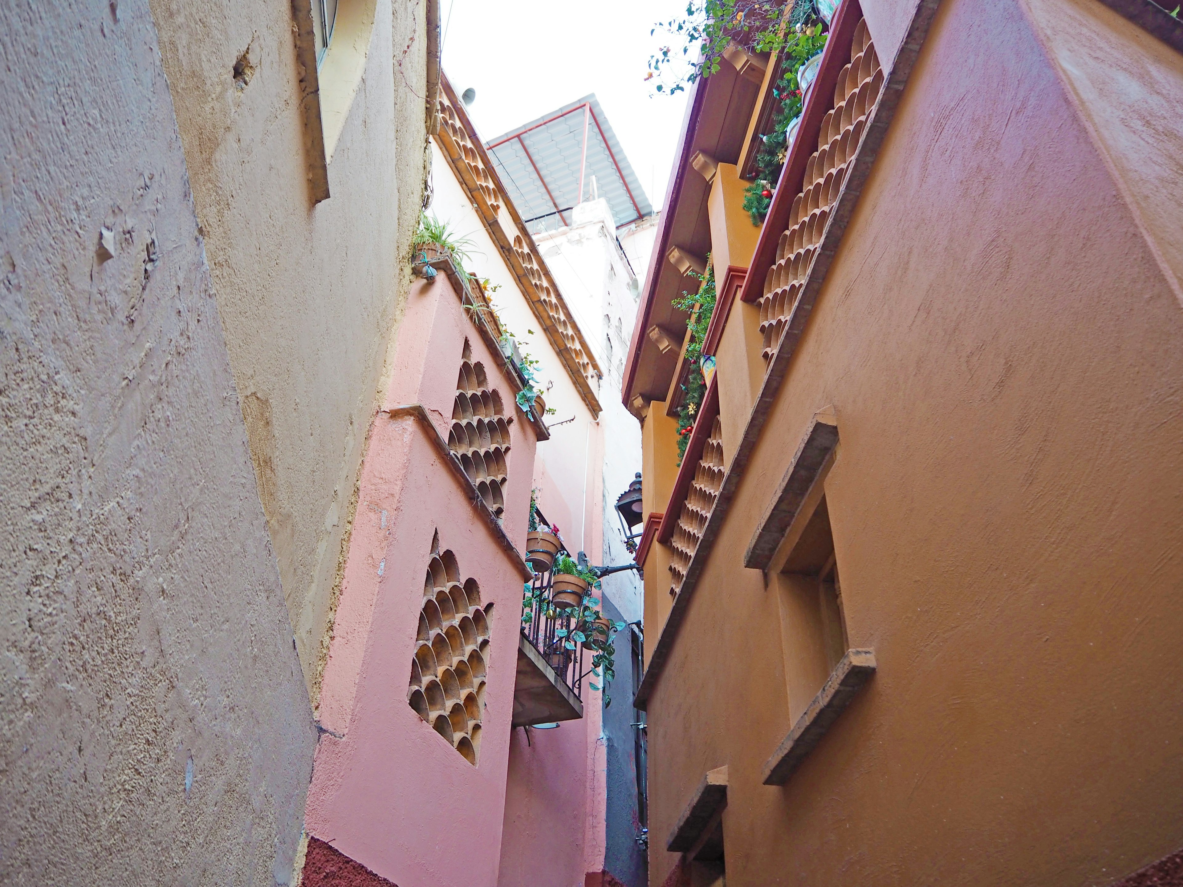 Narrow alleyway surrounded by colorful walls and greenery