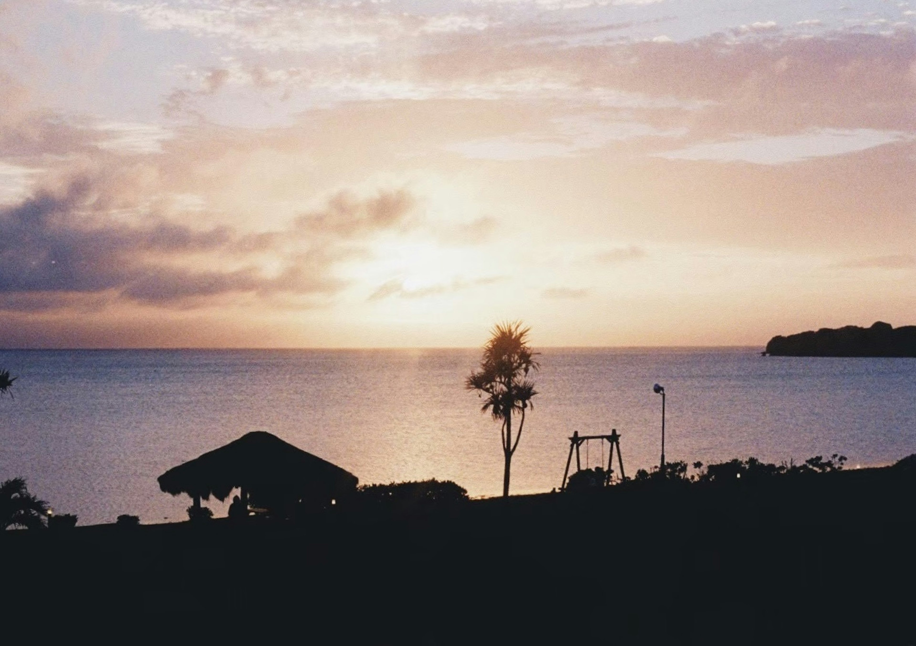 Schöner Sonnenuntergang über dem Meer mit silhouettierten Bäumen