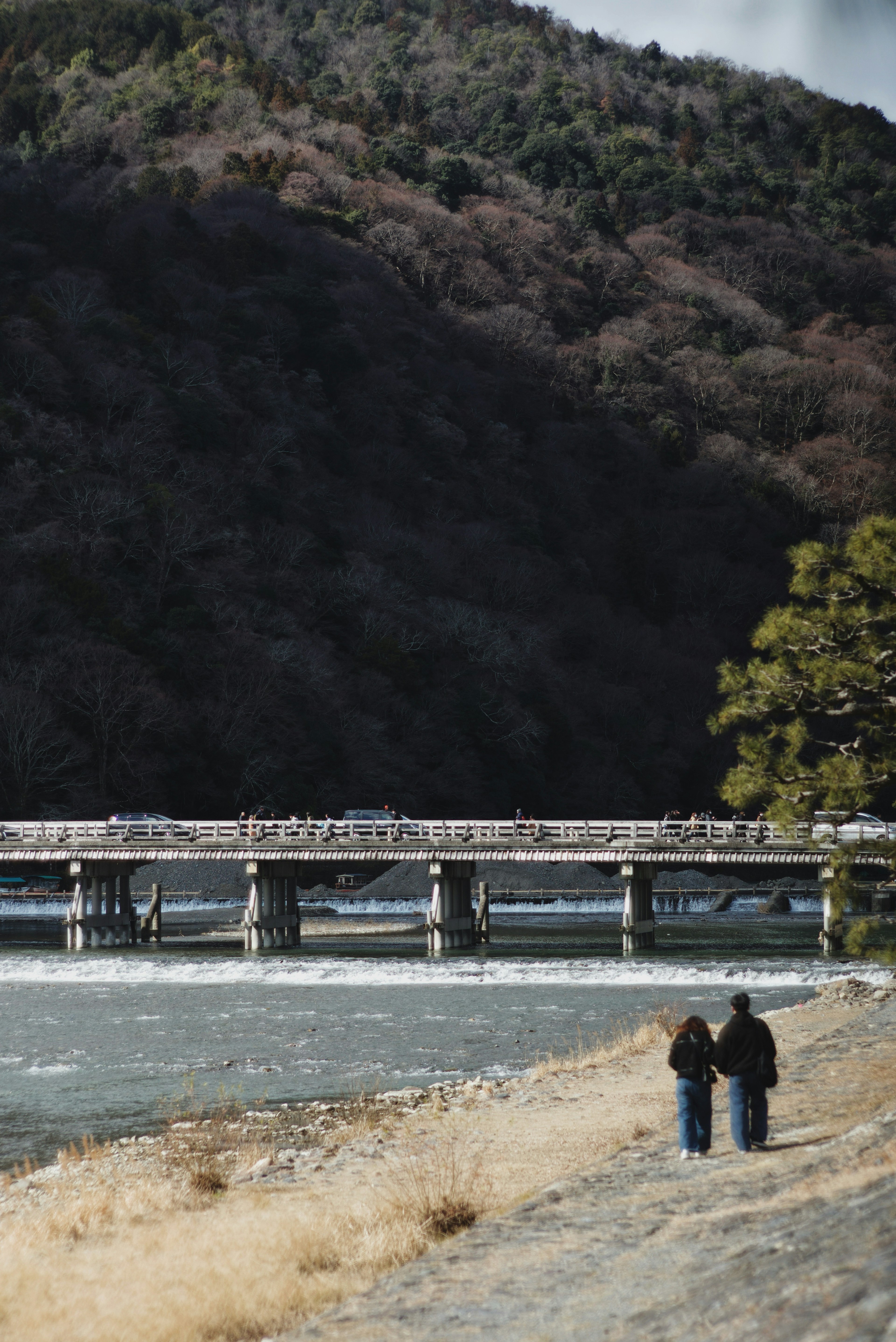 カップルが川沿いを歩いていて橋が背景にある風景