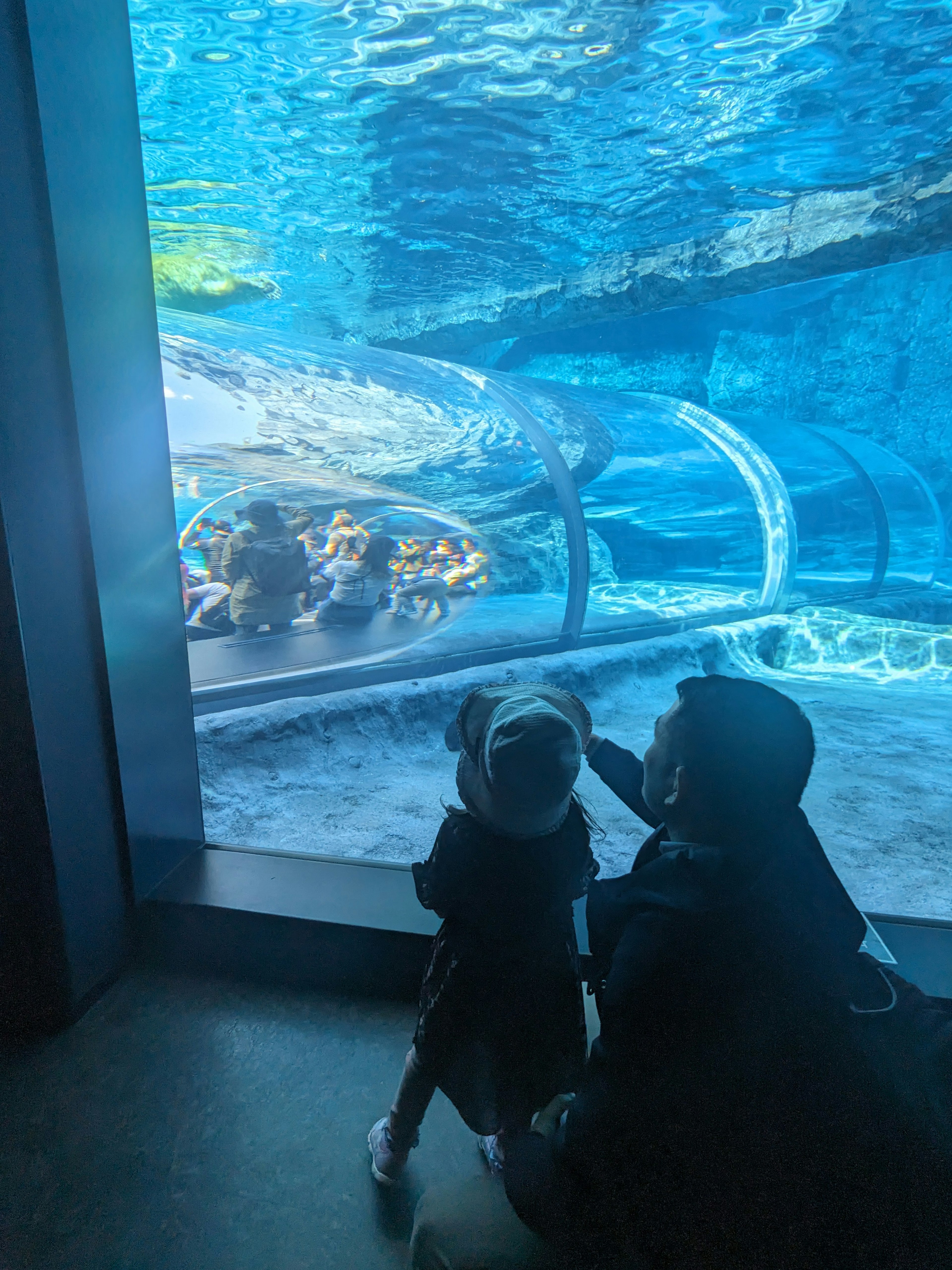 Ein Kind und ein Erwachsener, die ein großes Aquarium betrachten