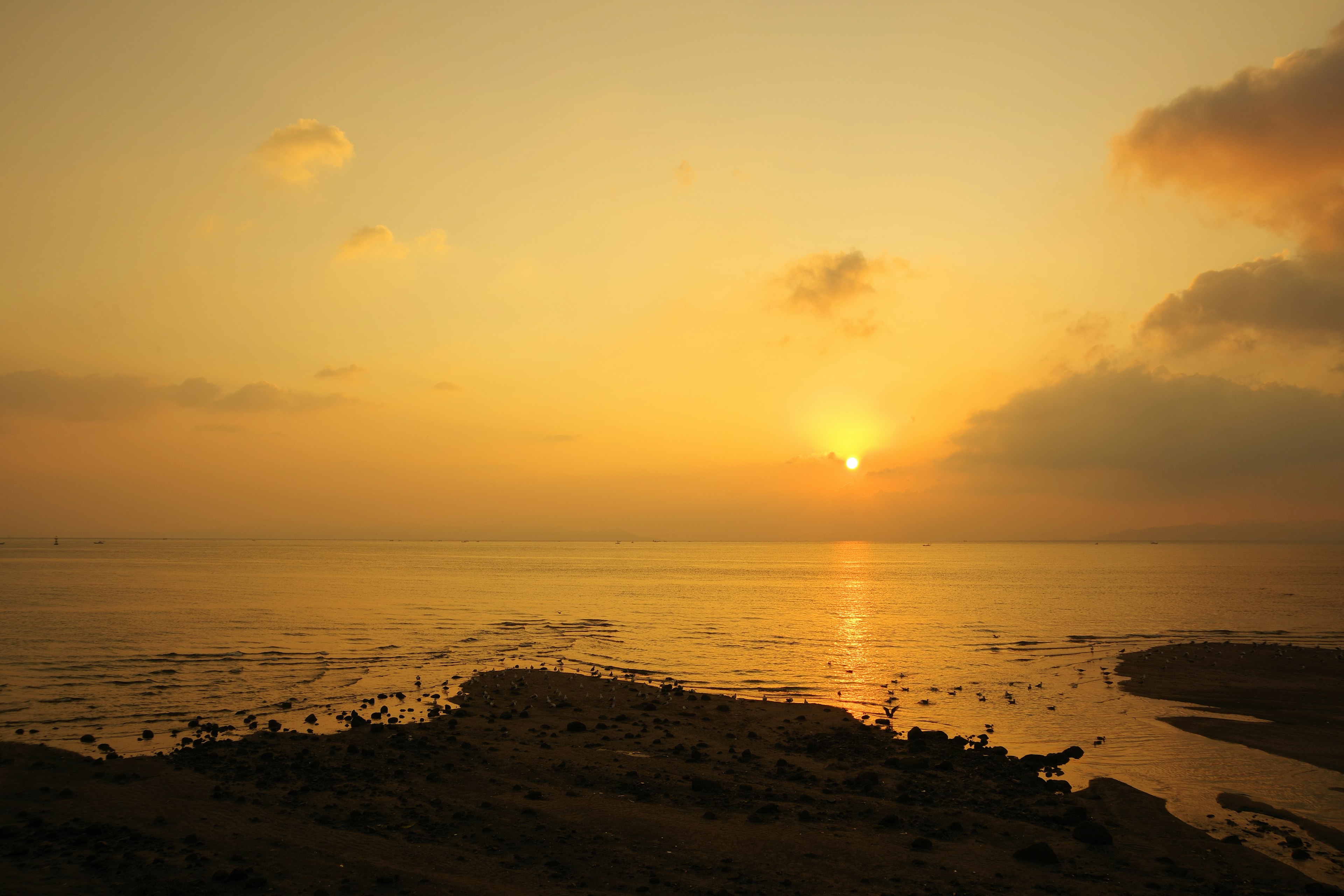 Matahari terbenam di lautan dengan pantai berbatu dan air tenang