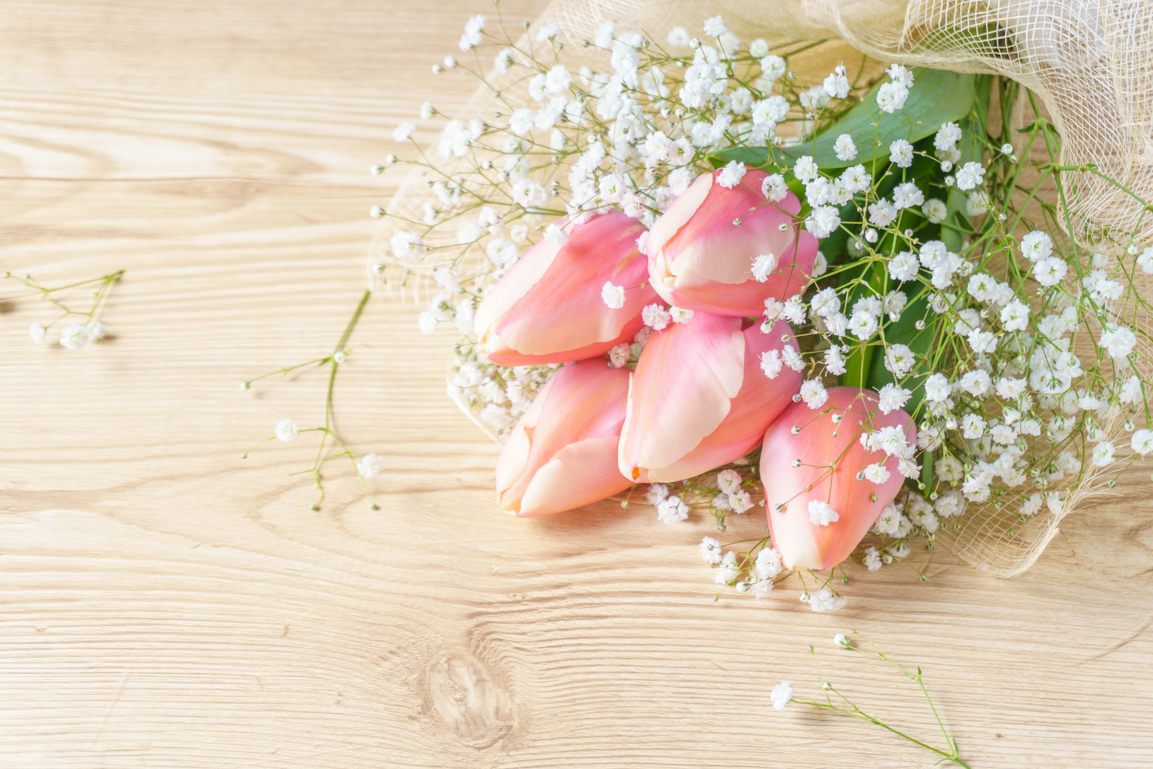 Bouquet de tulipes roses entouré de fleurs de gypsophile