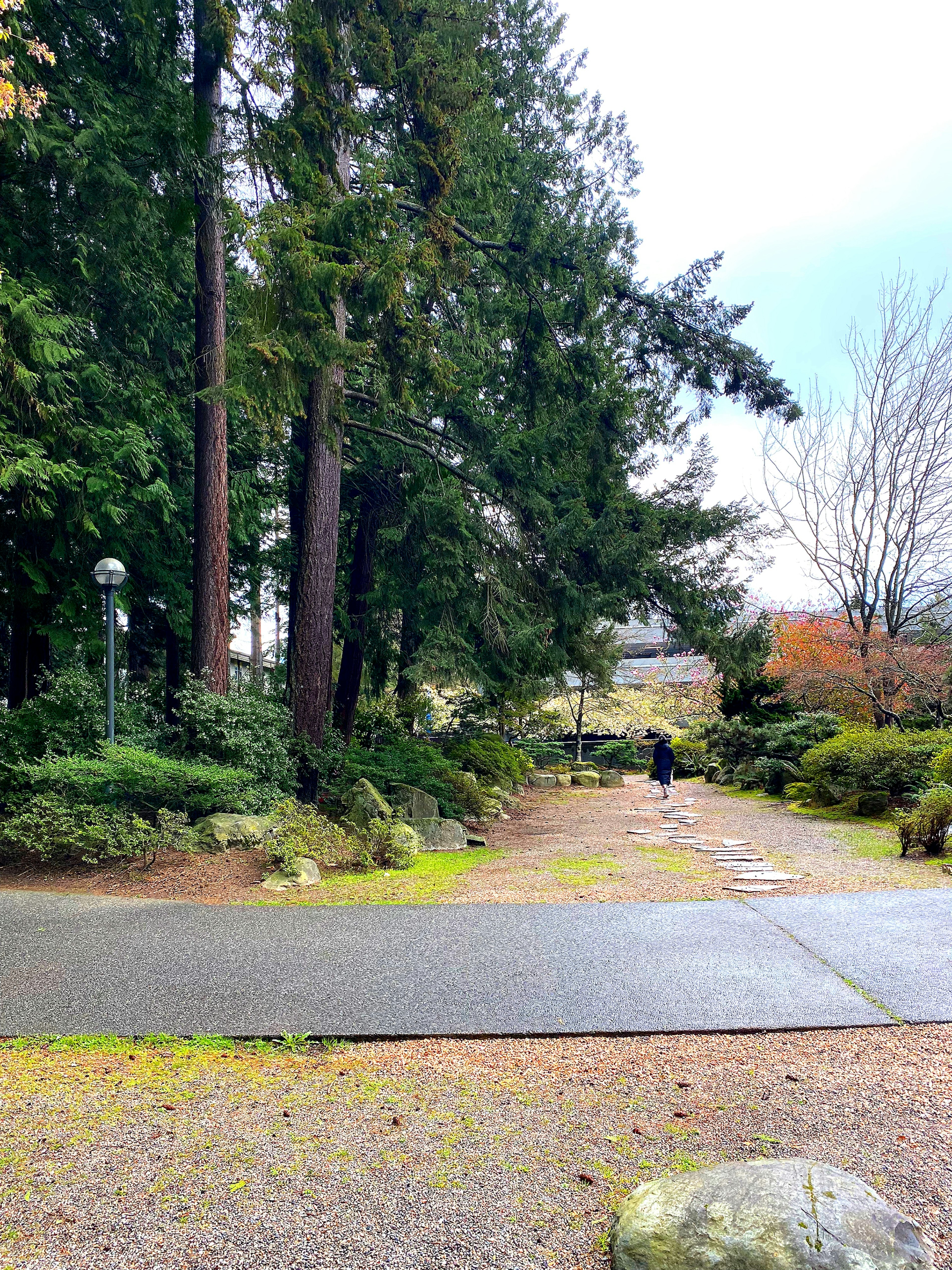 緑豊かな公園の小道を歩く人が映った画像