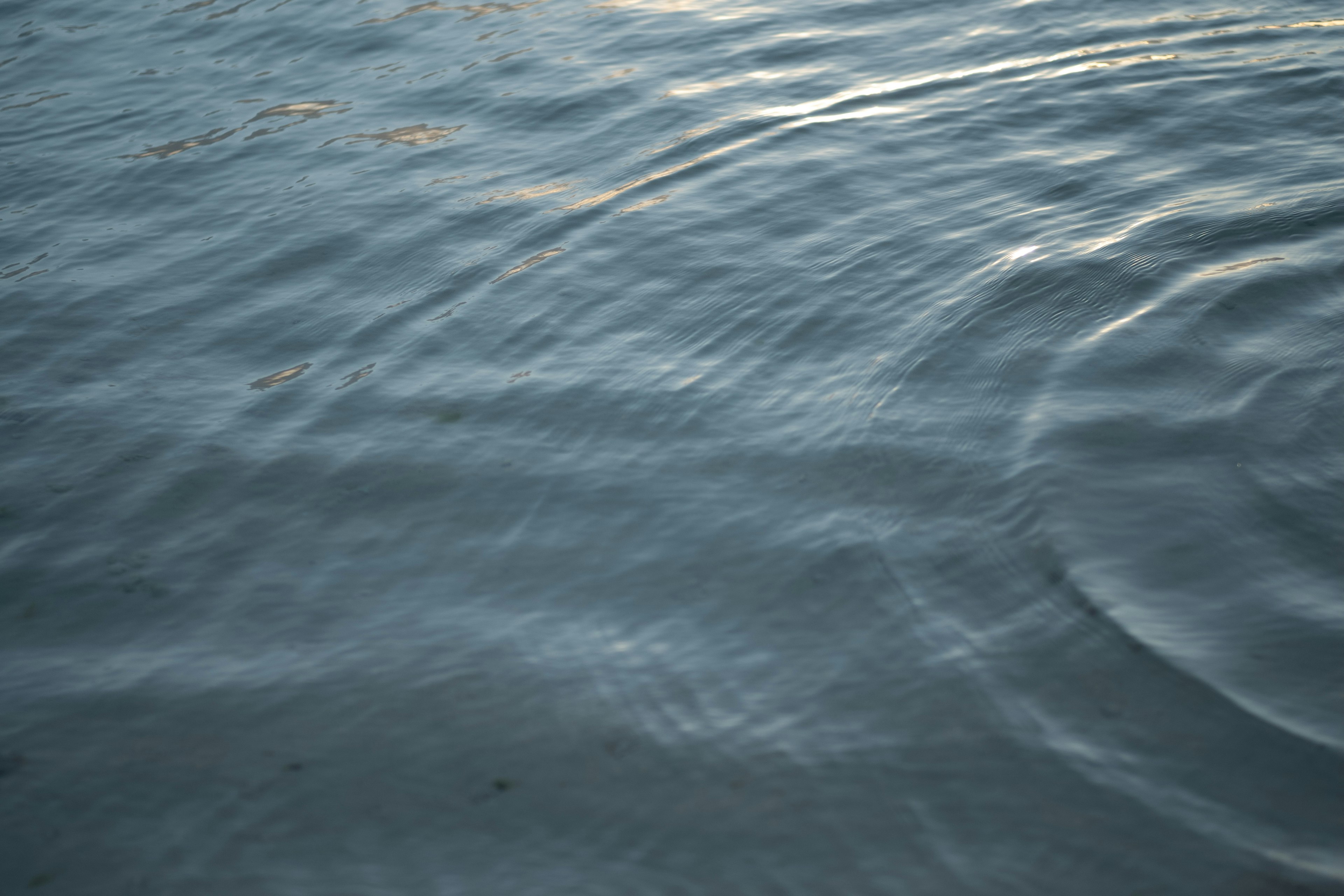 Rippling surface of calm water reflecting light