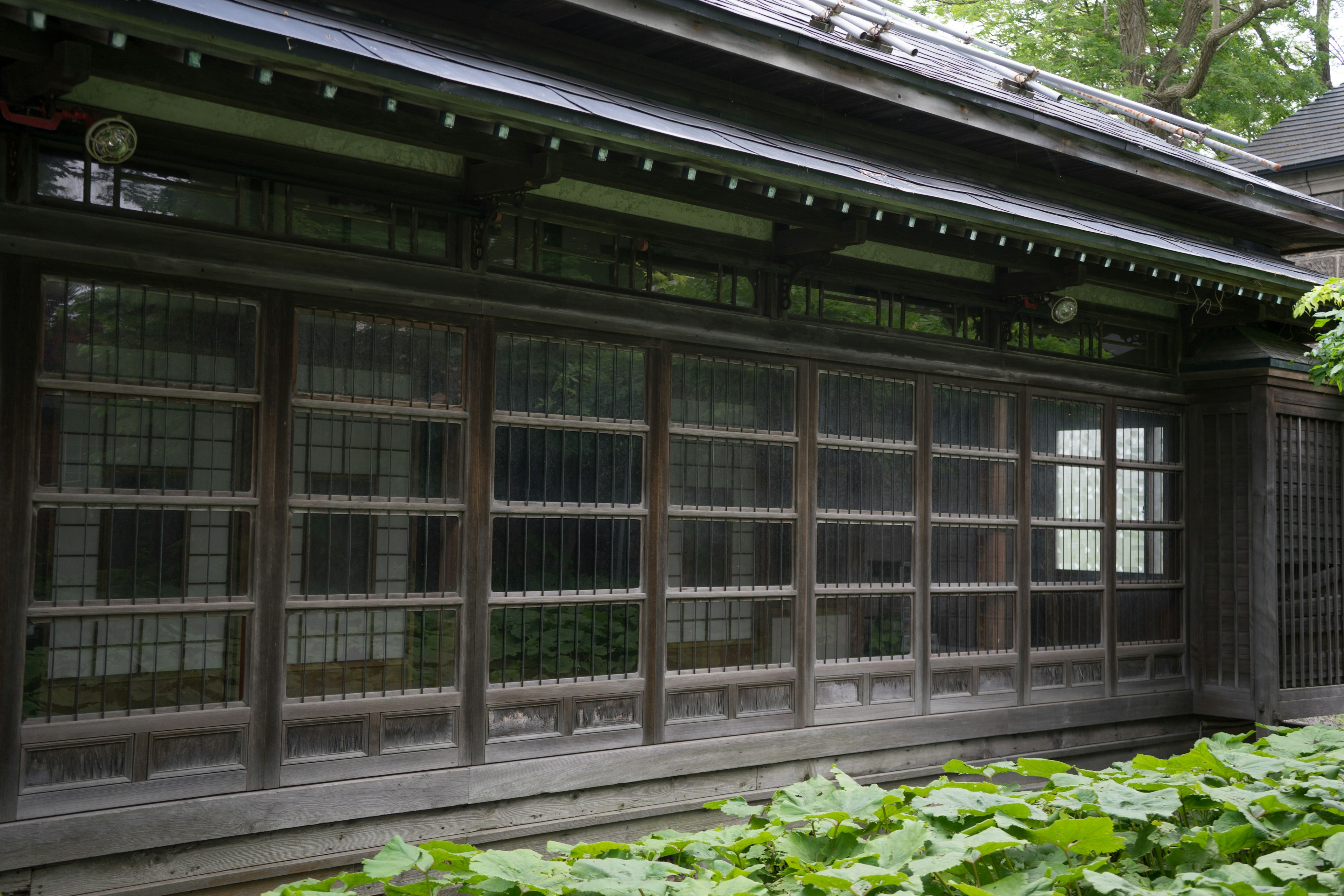 木造の伝統的な建物の外観 窓が並ぶ壁 緑の植物が前景に見える