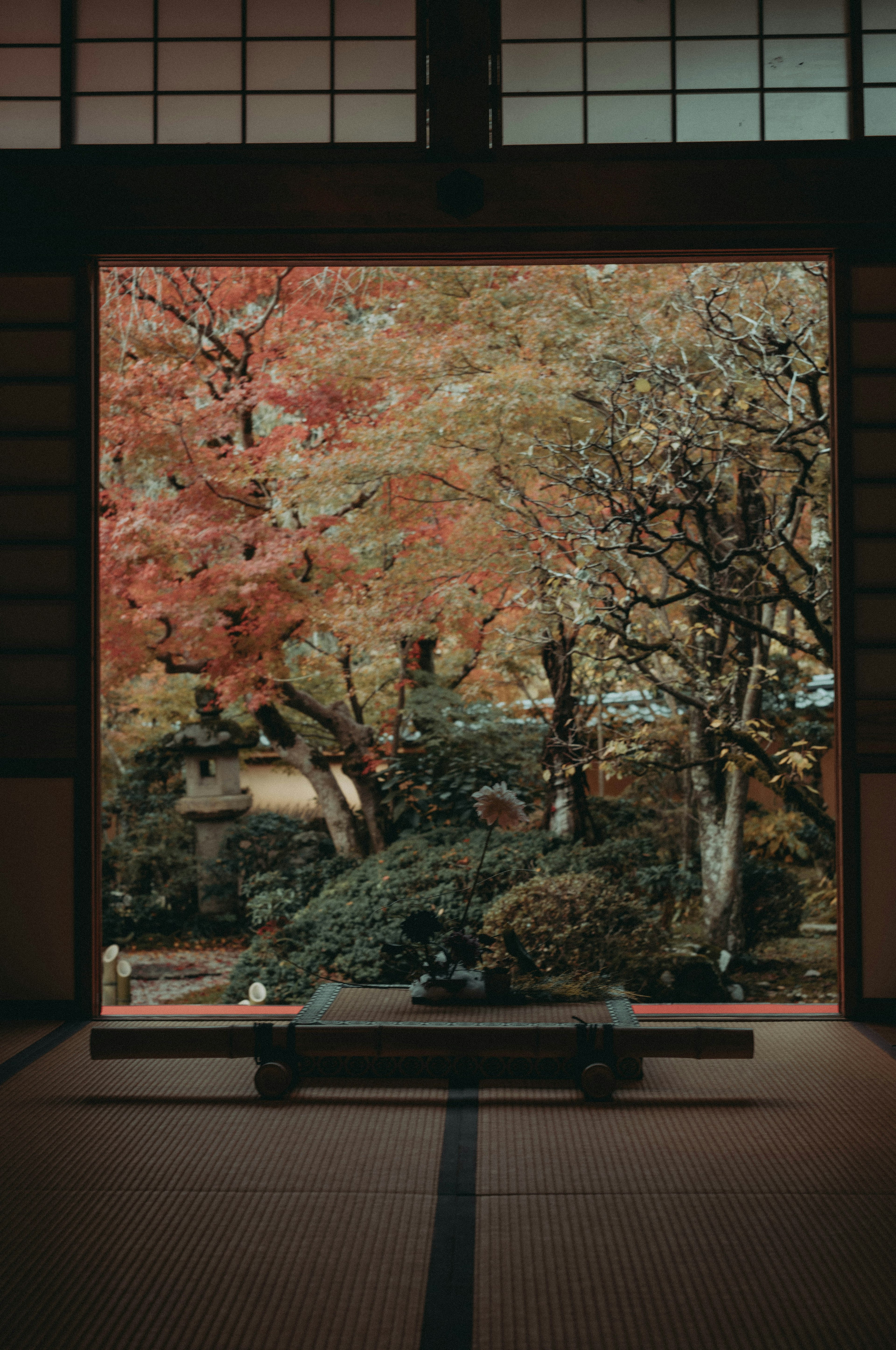 美しい日本庭園の秋の景色を見せる窓越しの視界