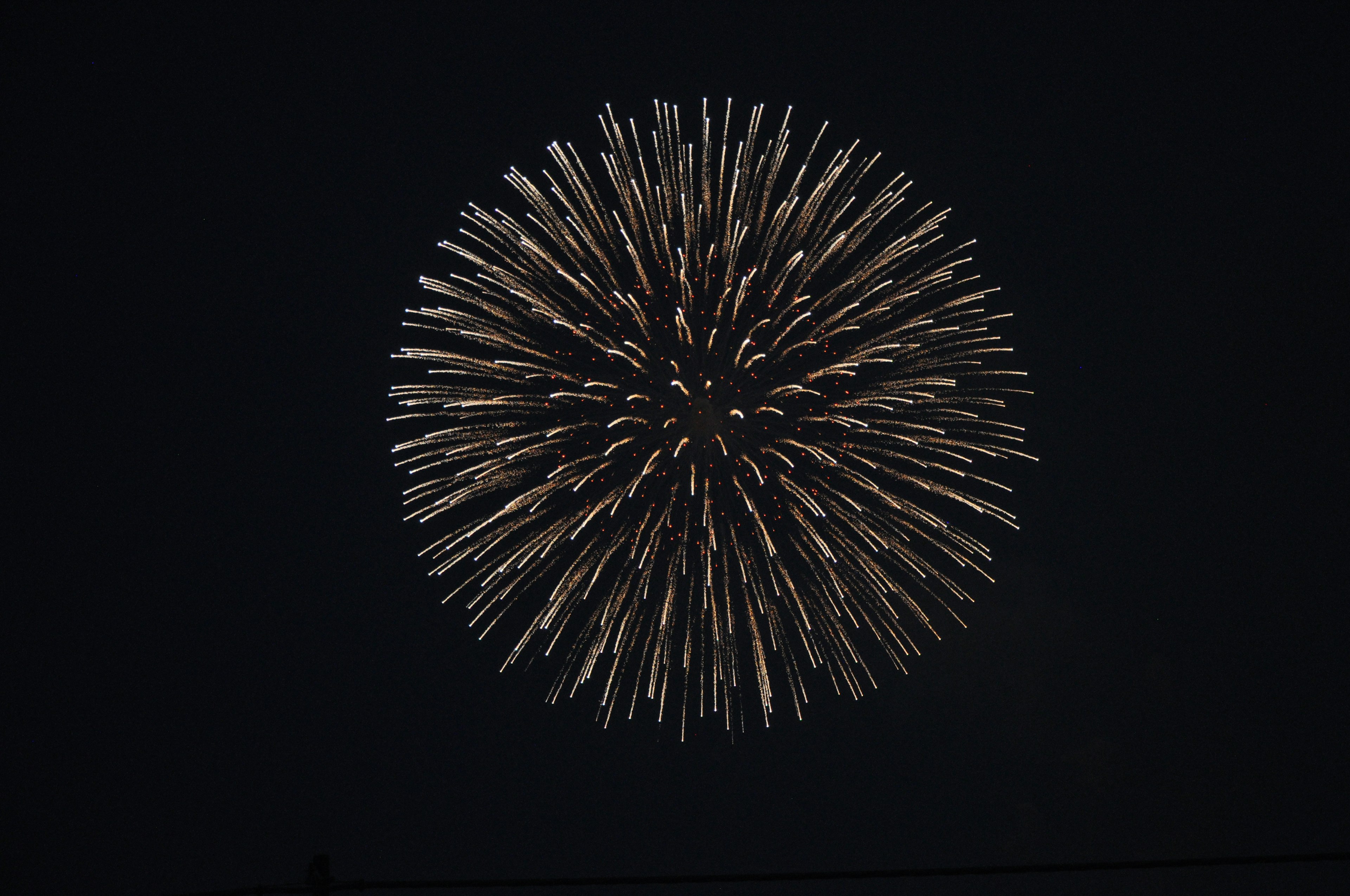 Goldene Feuerwerke, die in einem dunklen Himmel explodieren