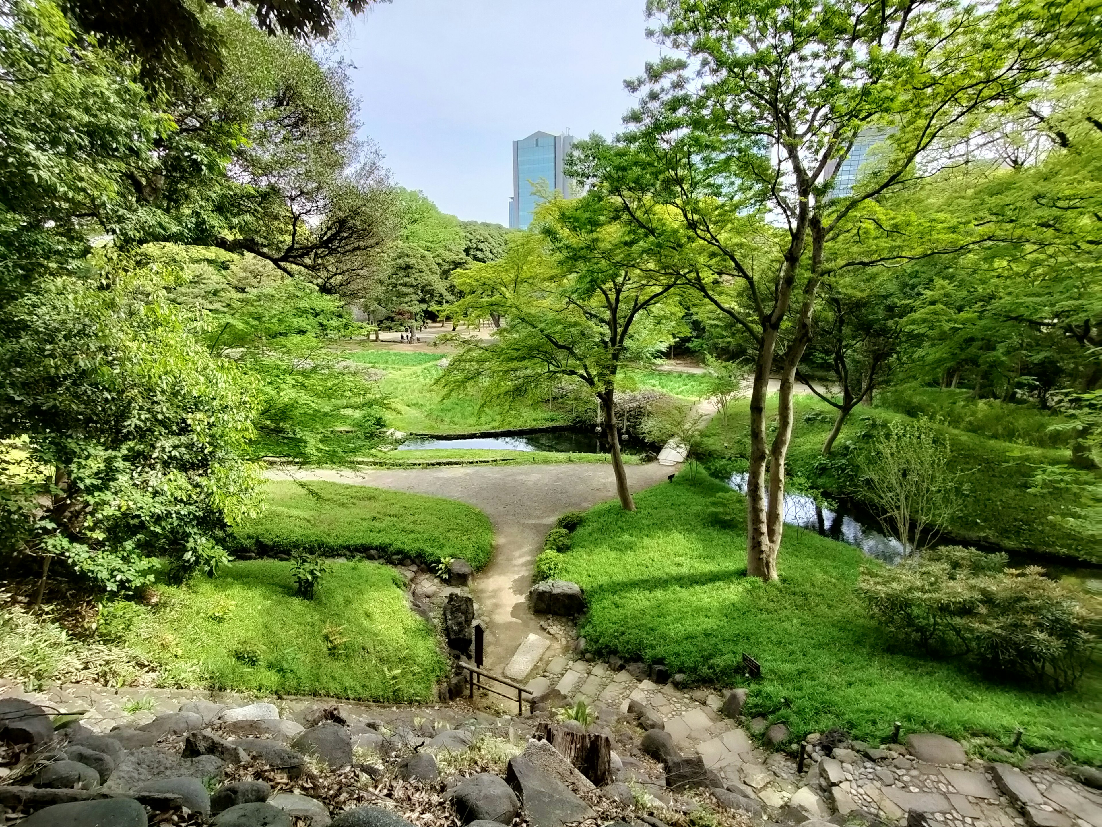 Pemandangan taman hijau subur dengan kolam dan jalur pejalan kaki