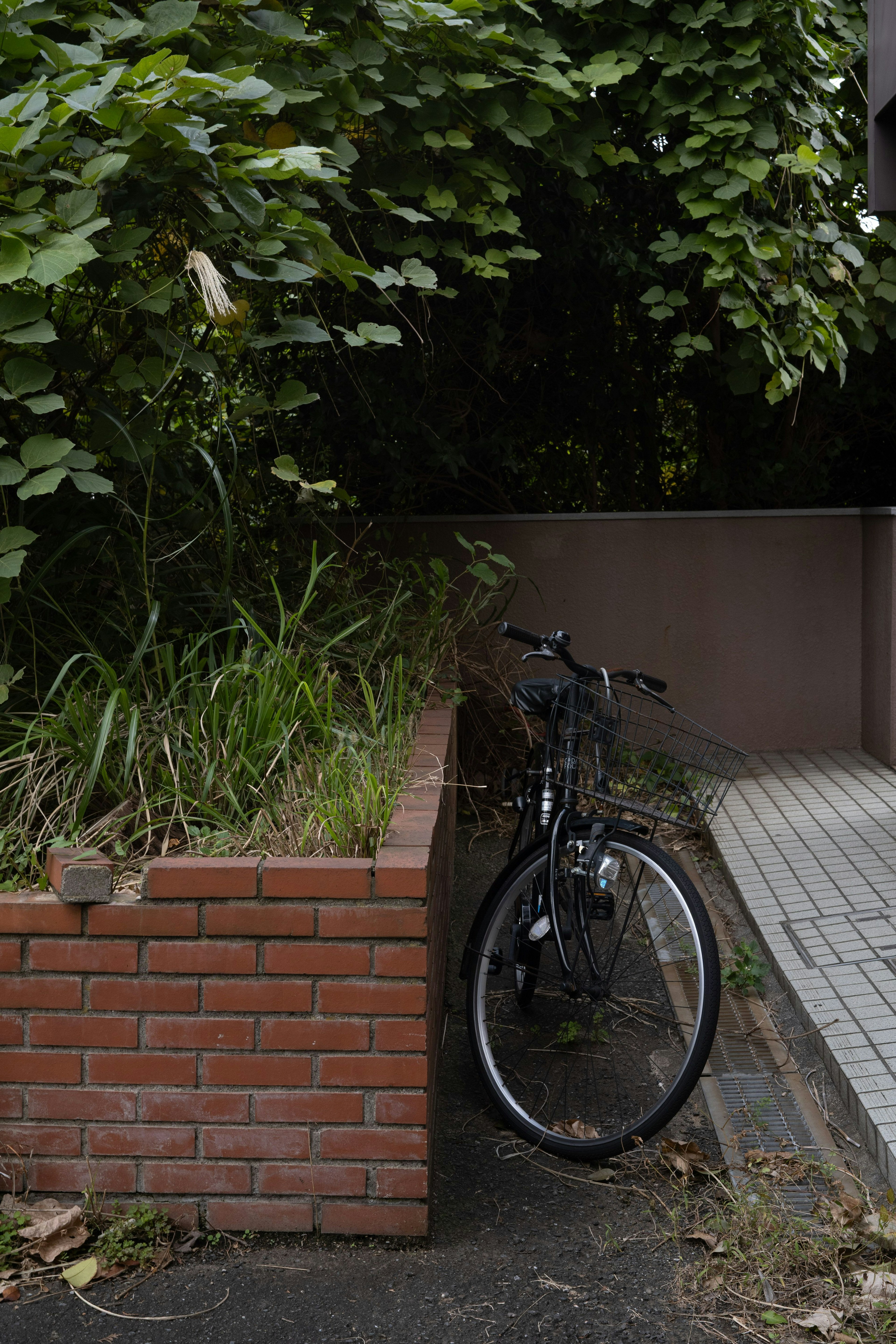 Una bicicletta parcheggiata accanto a un cespuglio verde