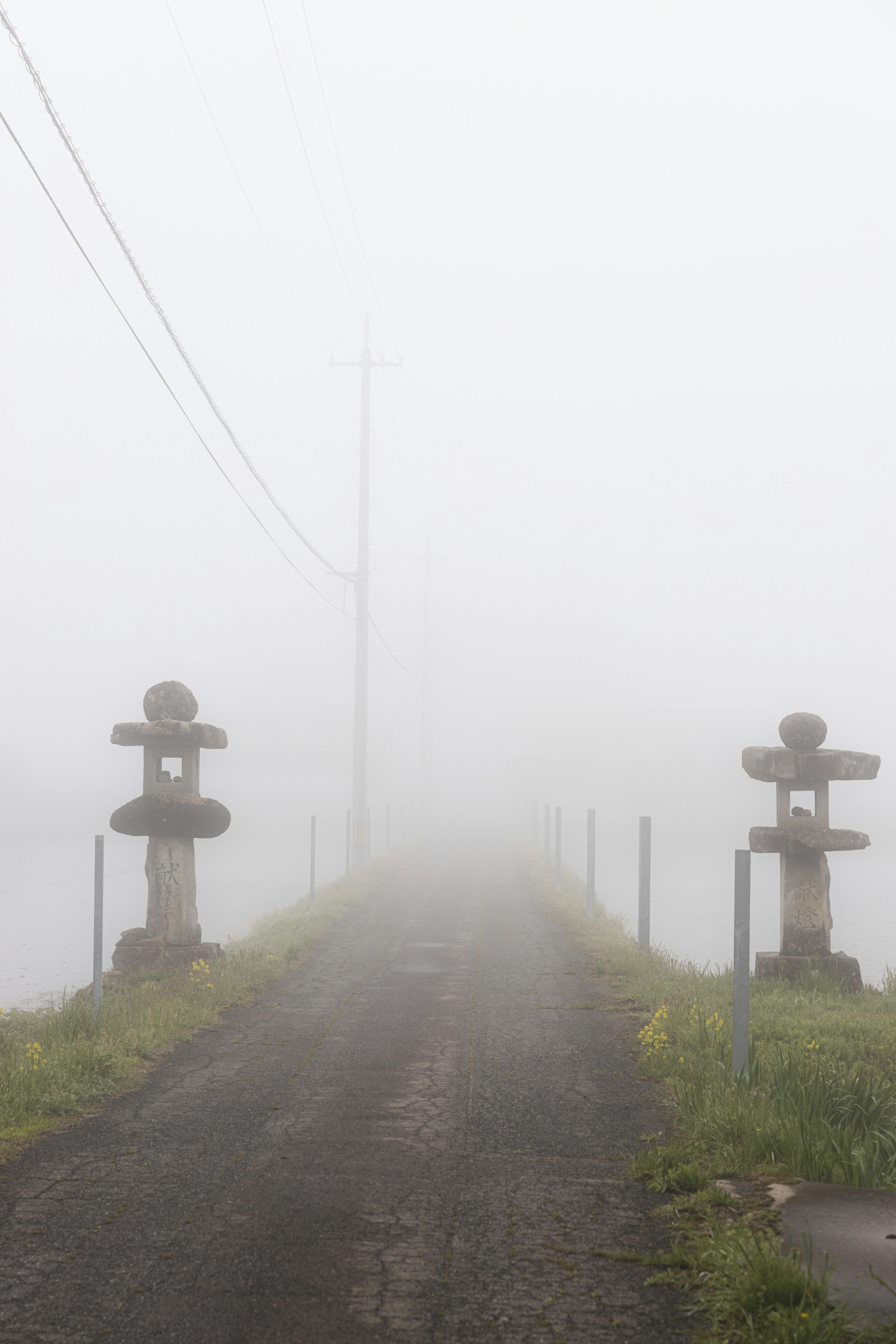 霧の中の道と石灯籠が並ぶ風景