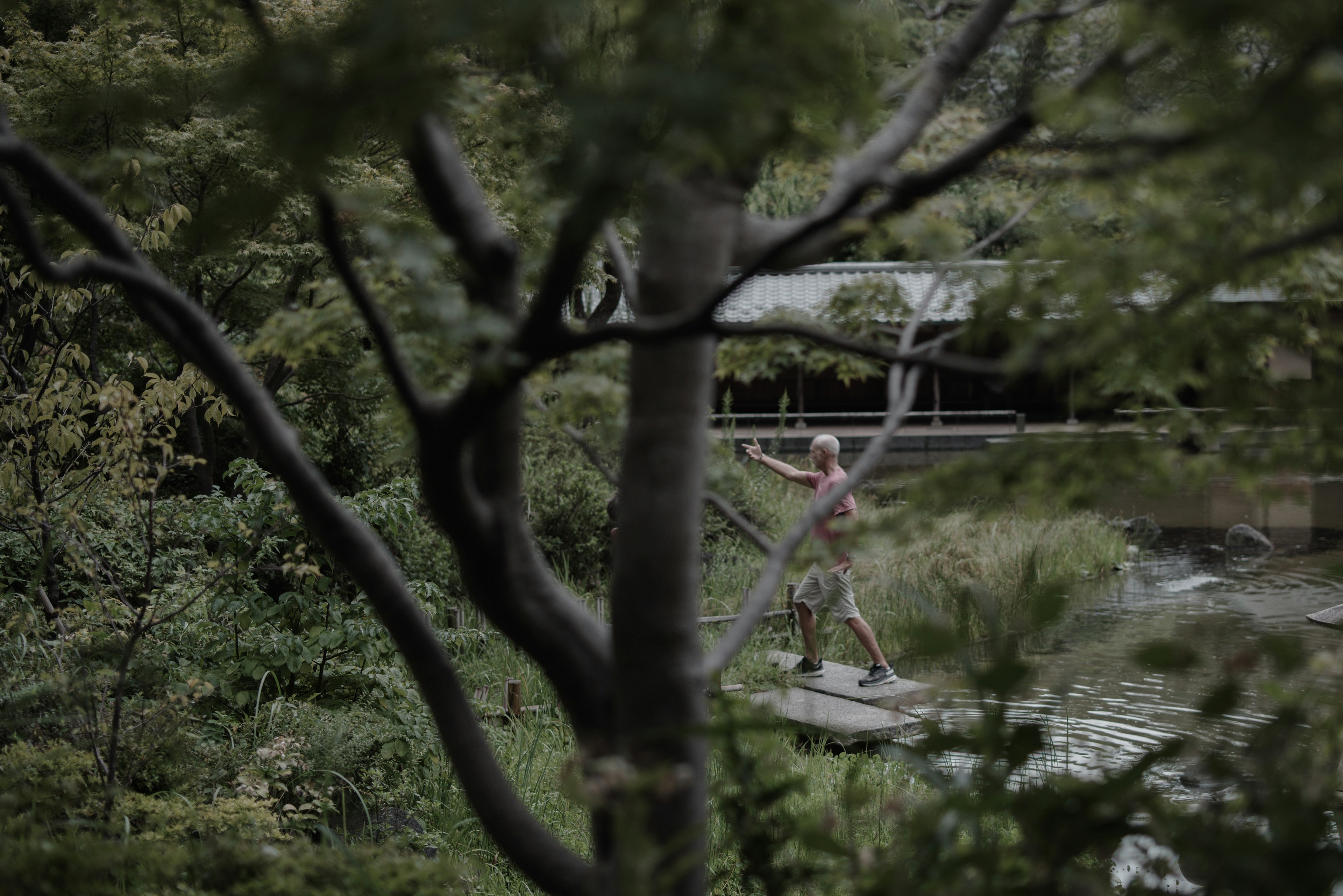 Un uomo in piedi con una corda visibile tra gli alberi in un ambiente verdeggiante