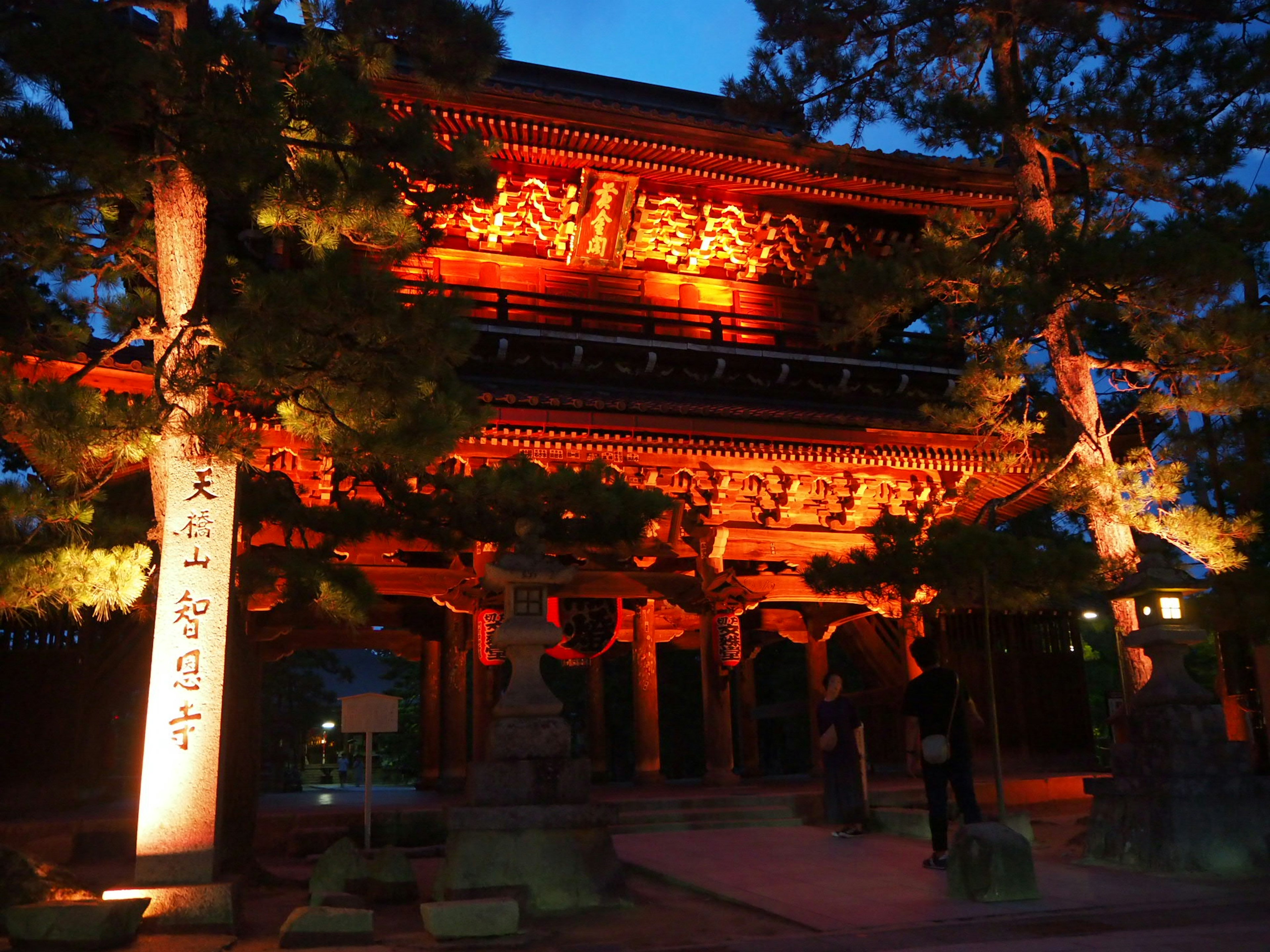 夜间照亮的传统日本寺庙入口，特色是复杂的木雕和郁郁葱葱的松树