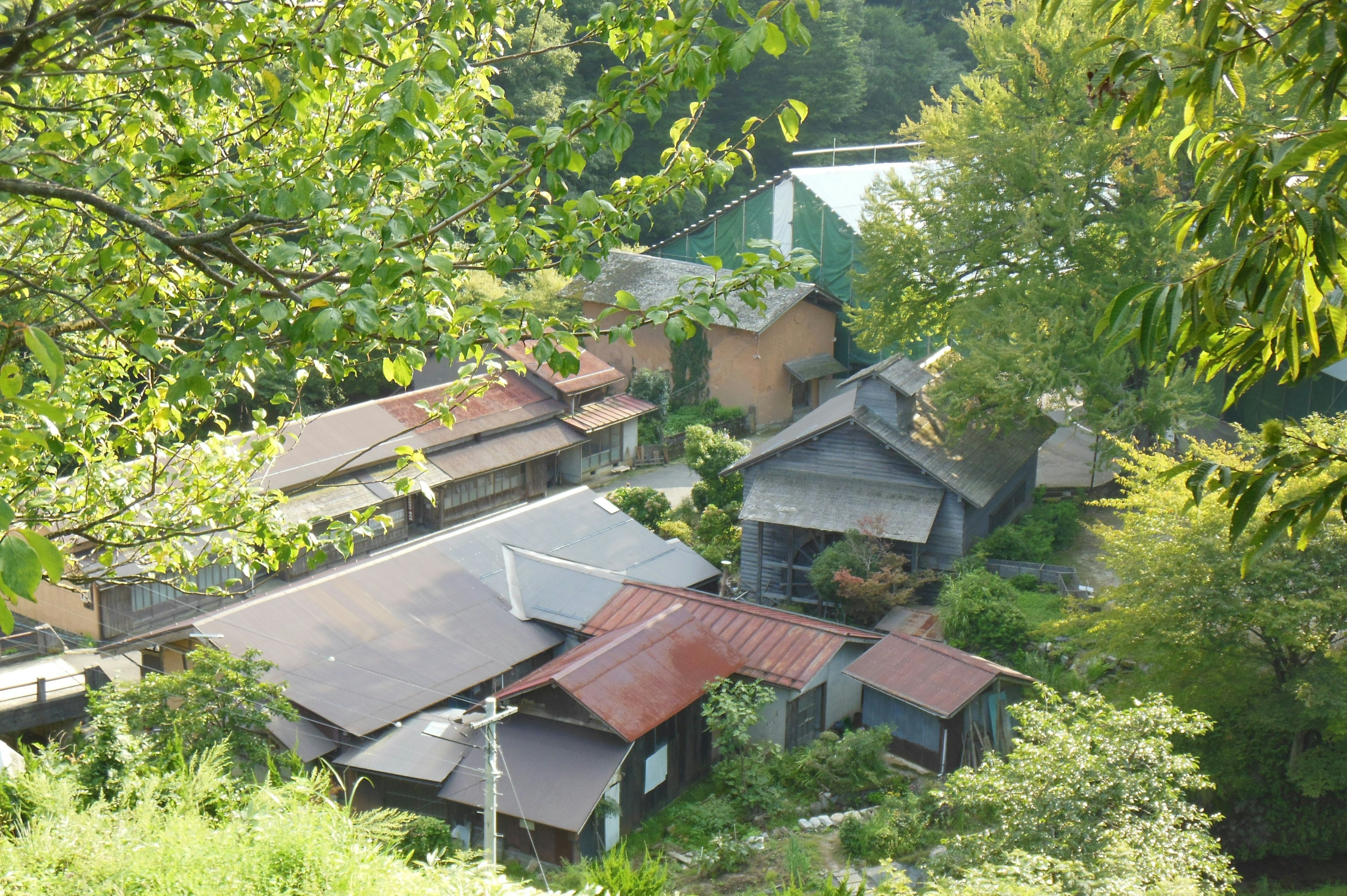 Scenic view of old buildings surrounded by greenery