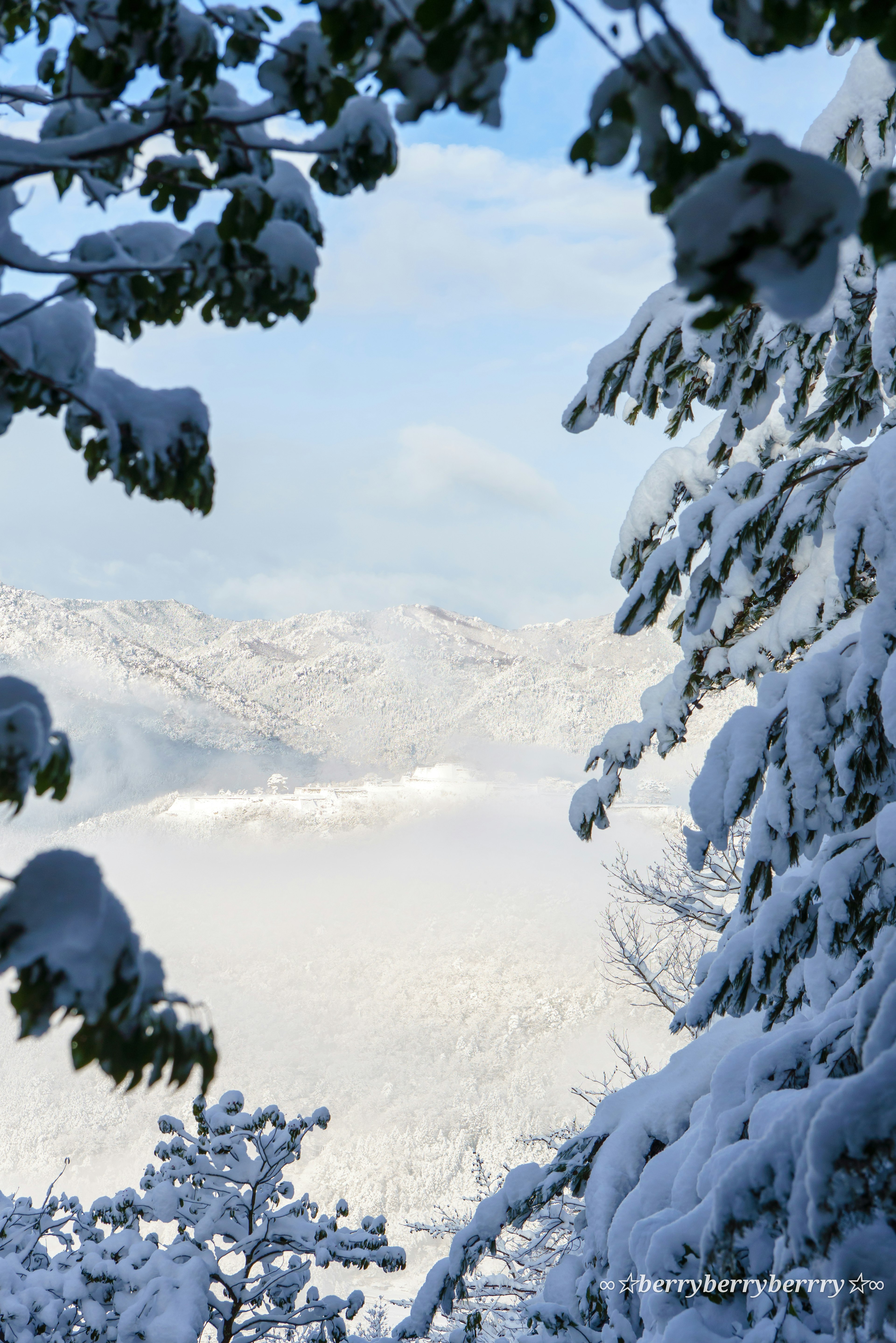 Montagnes enneigées encadrées par des arbres et ciel bleu